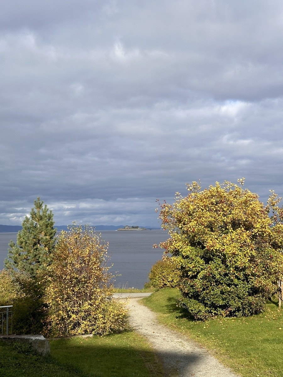 Friområder og sjøen rett utenfor døra Galleribilde