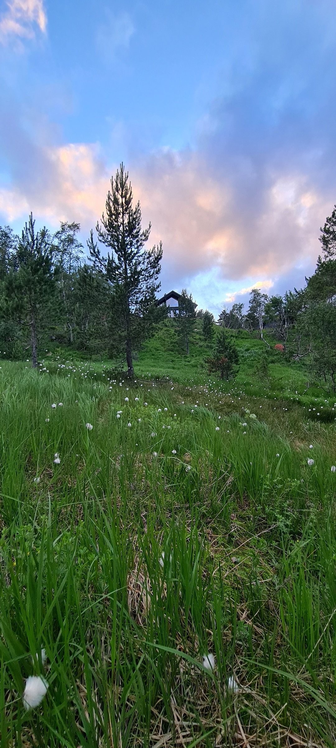 Her er det flott natur både sommer og vinter Galleribilde