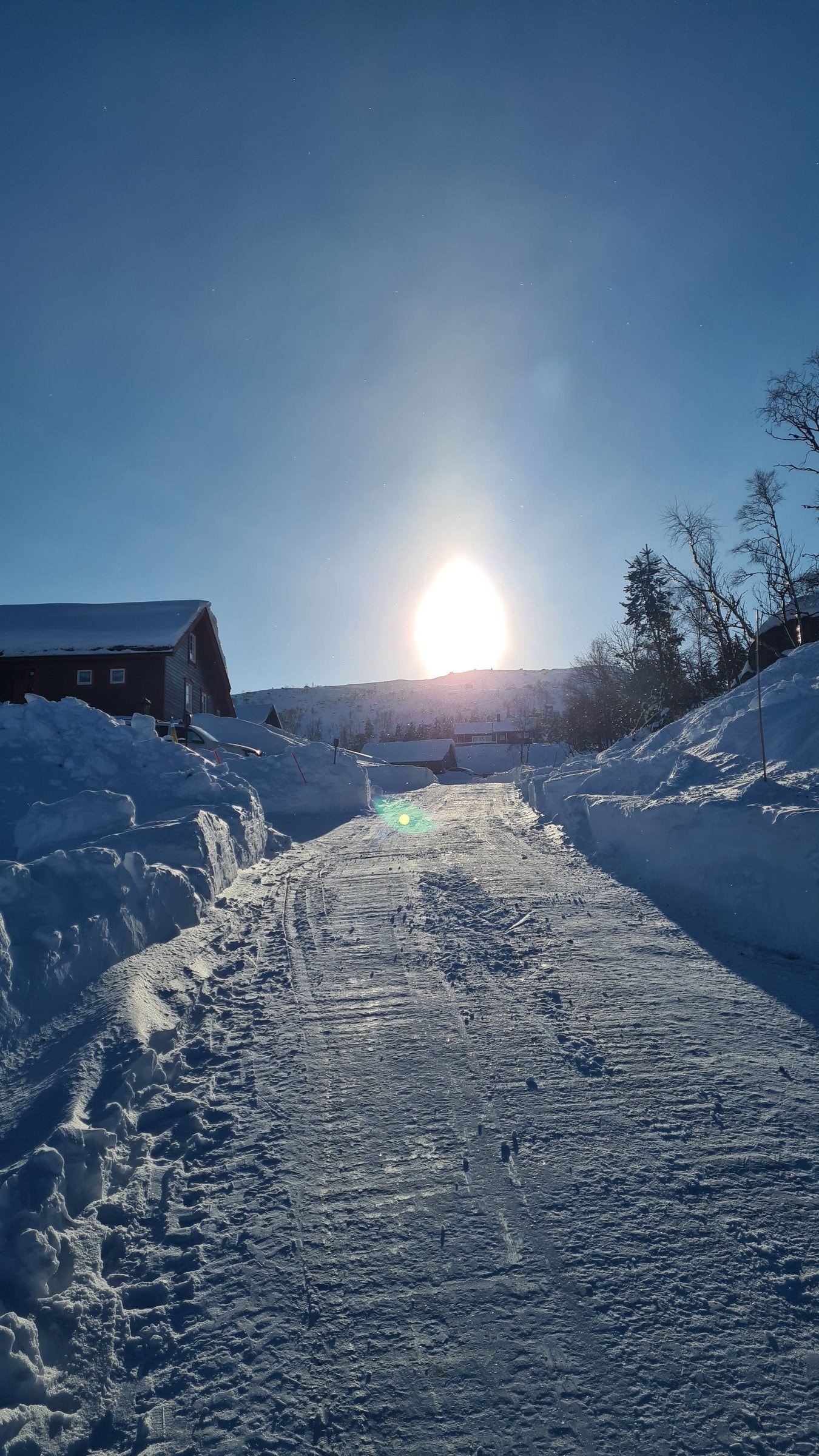 Vinterbrøytet veg frem til hyttedøra Galleribilde