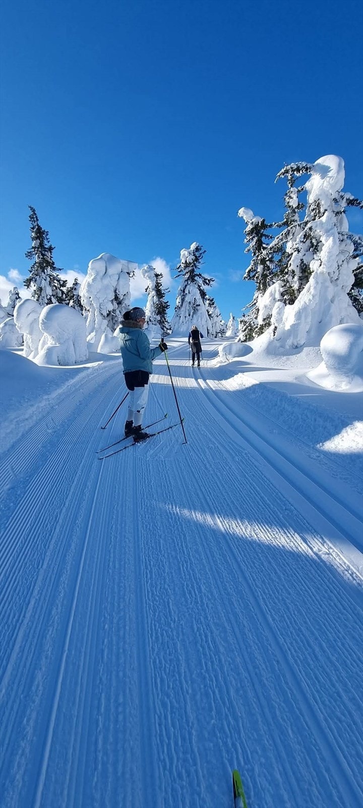 Flott skiføre i velprepparerte langrennsløyper rett ved hytta! Galleribilde