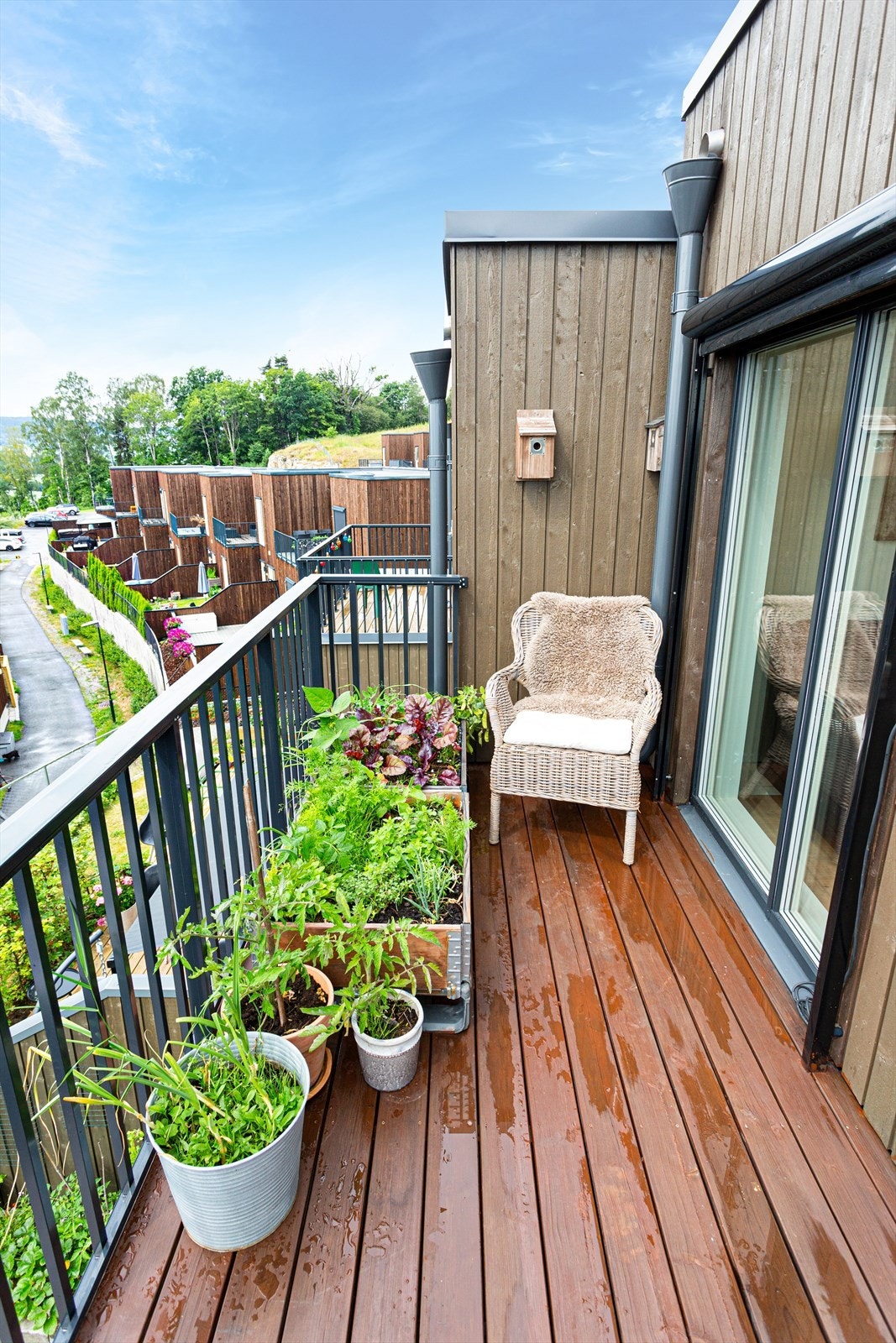 Slik ser det ut på sommerstid når det er grønt og frodig. Her kan du nyte kveldssolen så lenge du orker. Galleribilde