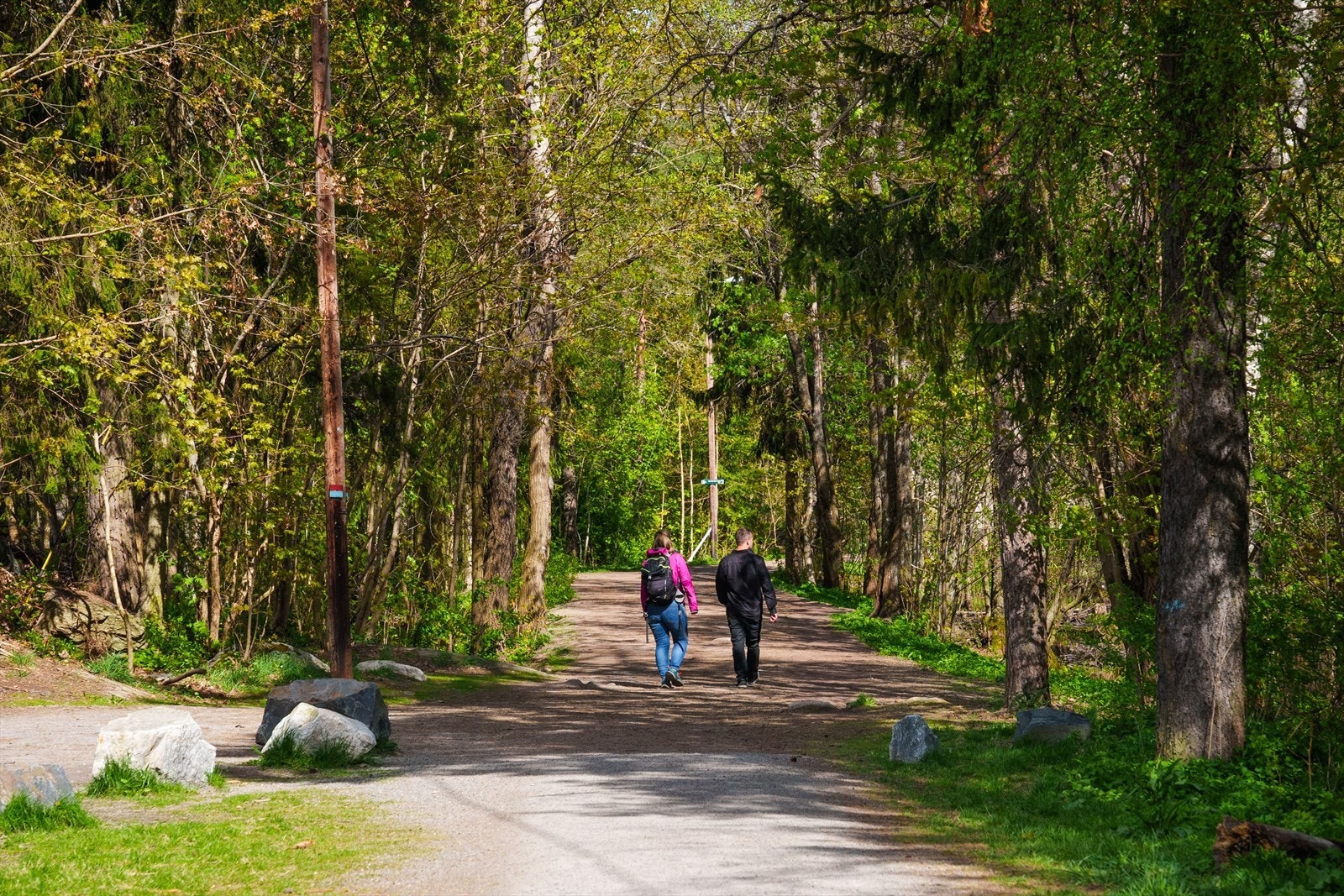 Østmarka er også lett tilgjengelig med en kort biltur opp til Solbergliveien. Galleribilde