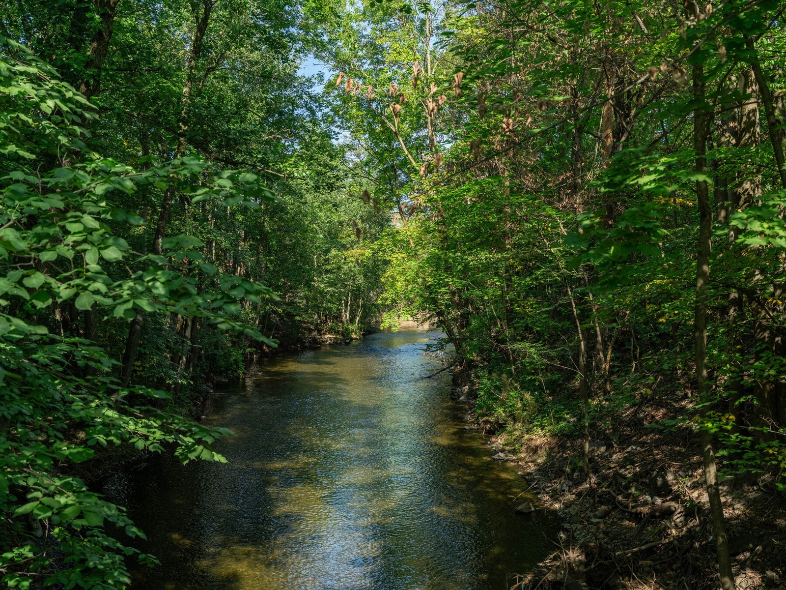 Badebakken ligger som en del av Akerselva miljøpark. Elva, med fossefall og vakkert restaurerte bygninger, skaper et trivelig og variert miljø. Galleribilde