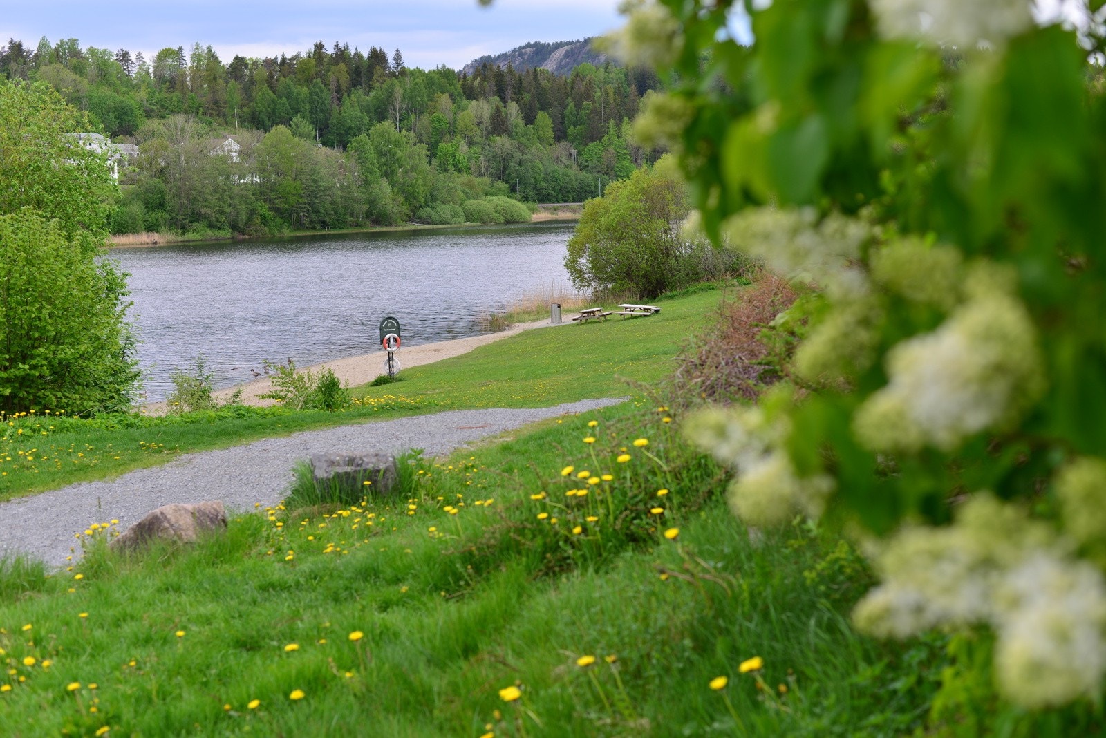 Flott badestrand ved vannet. Galleribilde