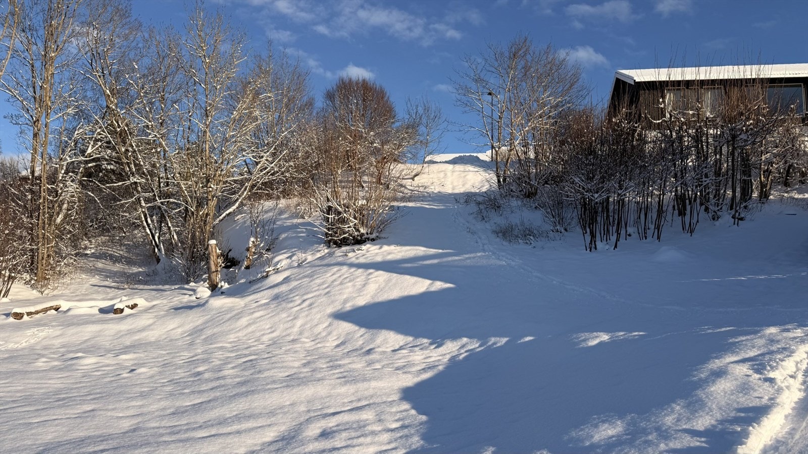 Akebakke på vinterstid Galleribilde
