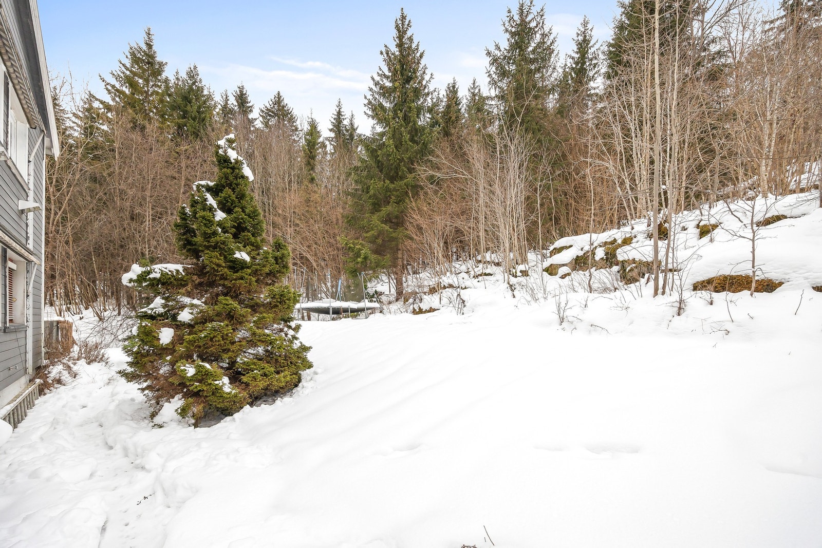 Tomten grenser mot marka og LNF. Galleribilde