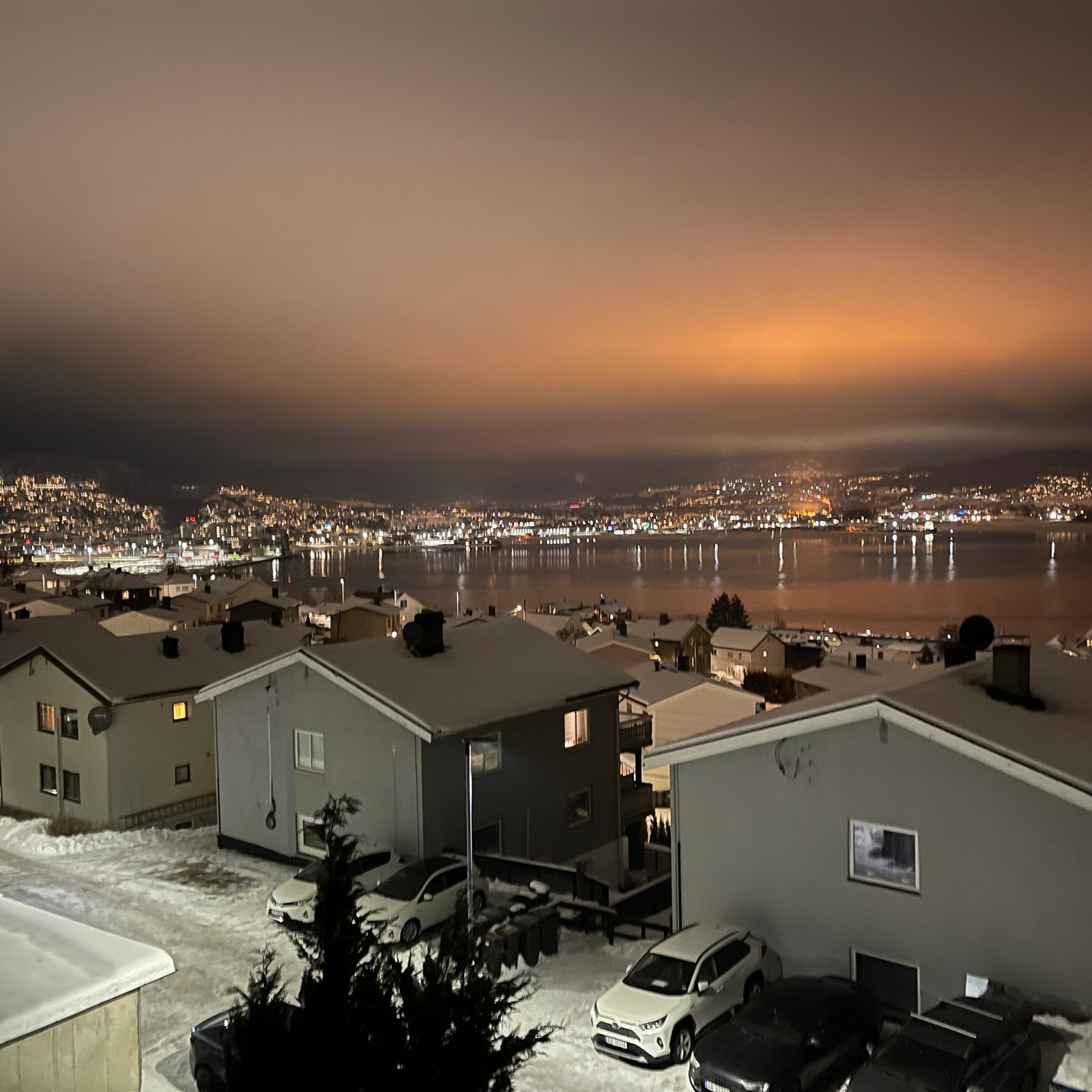 Selgers egne bilder Galleribilde