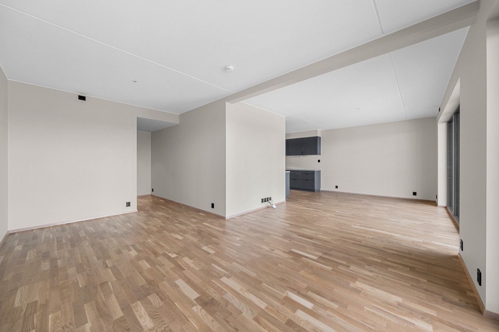 Stue med gjennomgående moderne standard og svarte detaljer i form av stikkontakter og lysbrytere. Galleribilde