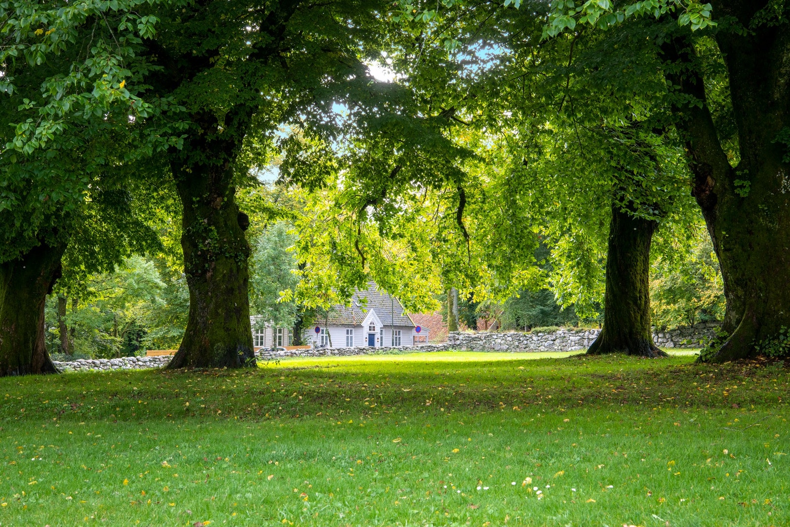 Det er ca. 350 meter avstand til bussholdeplass, ca. 9 min på sykkelen inn til Stavanger sentrum, enkel adkomst til E39, og kort reisevei til de fleste arbeidsplasser i Stavanger, Jåttå og på Forus. Galleribilde