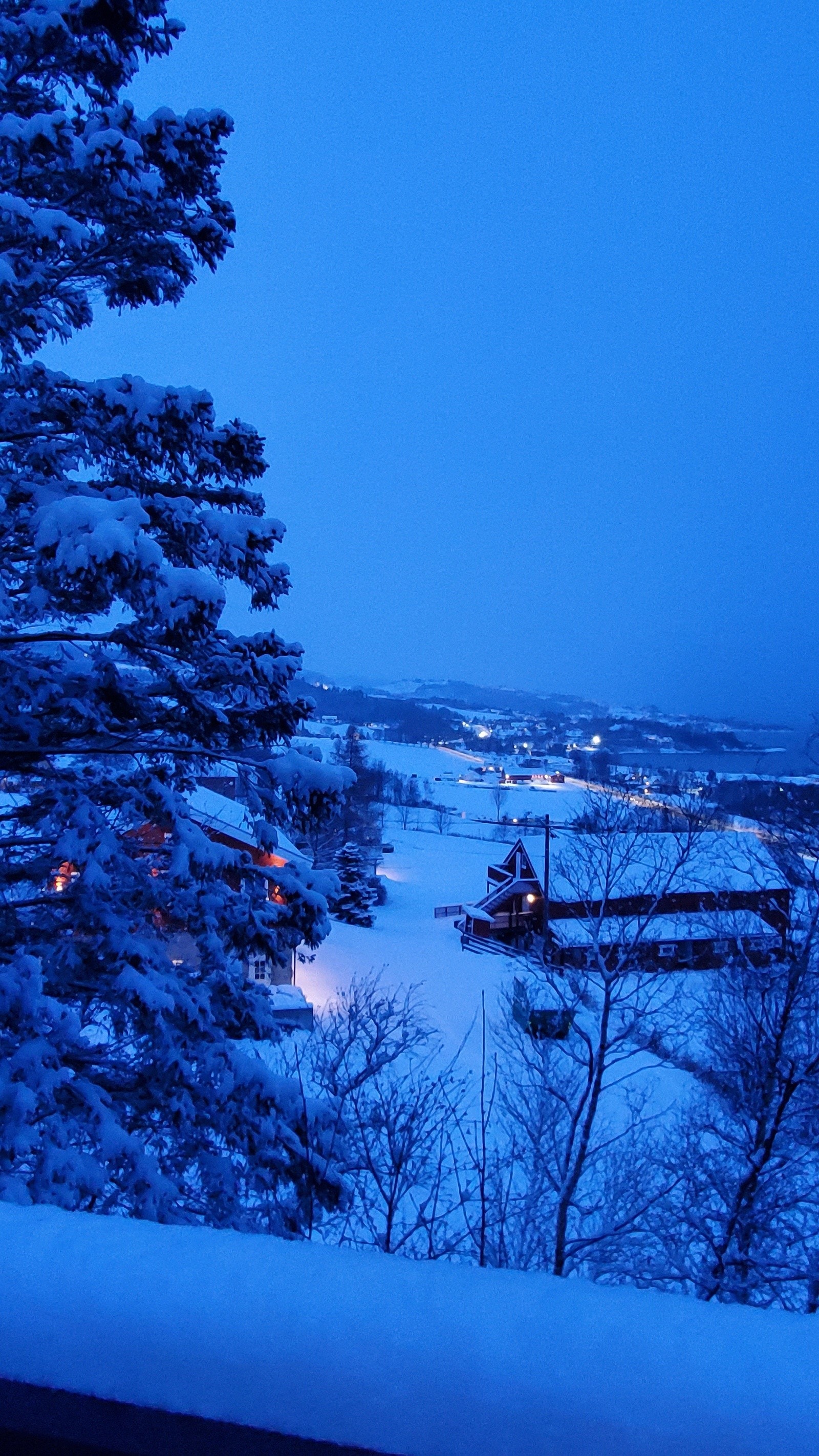 Selgers eget bilde Galleribilde