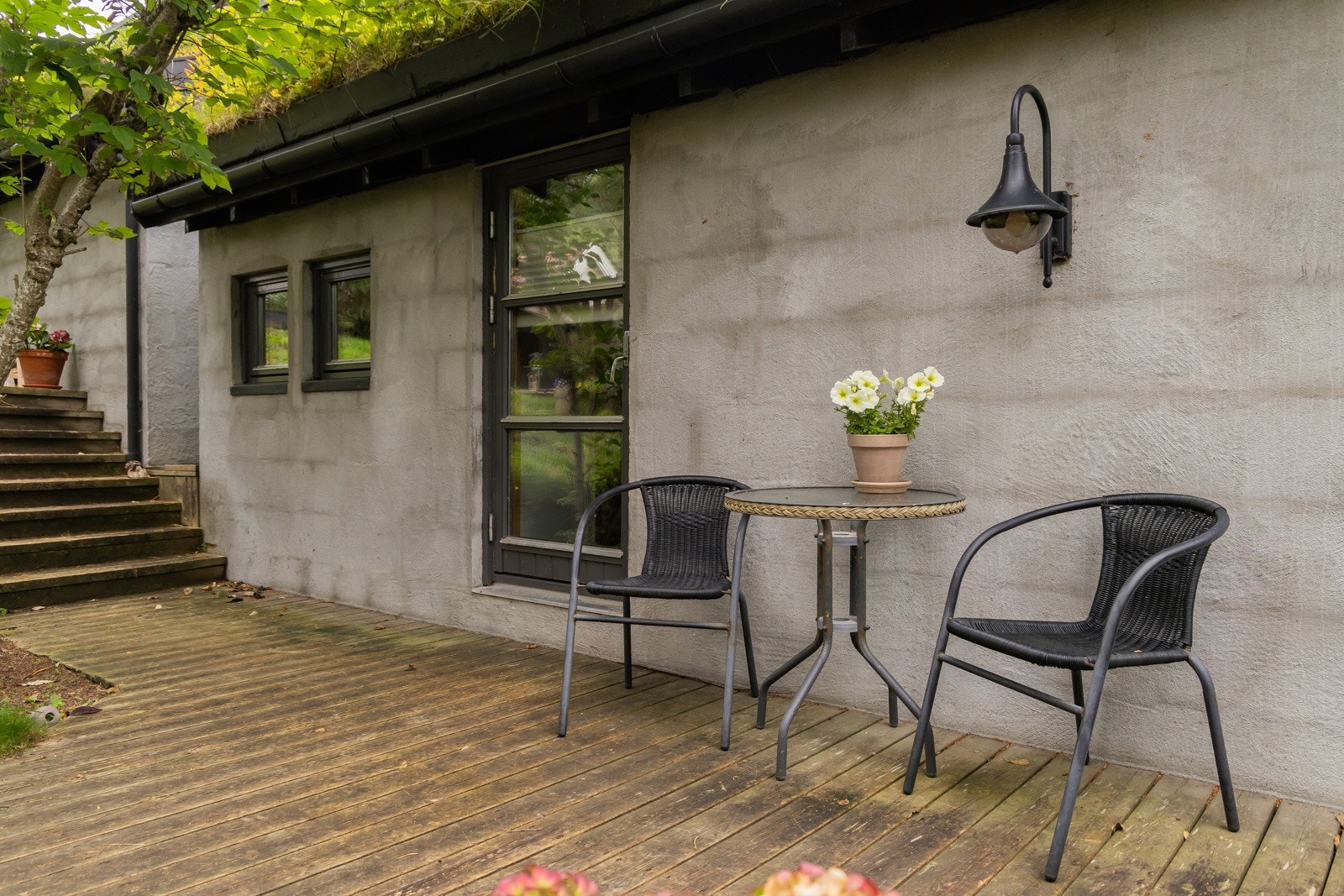 Rett utenfor ytterdøra har man blåbærtue, og på det er også tyttebærlyng på taket. Galleribilde