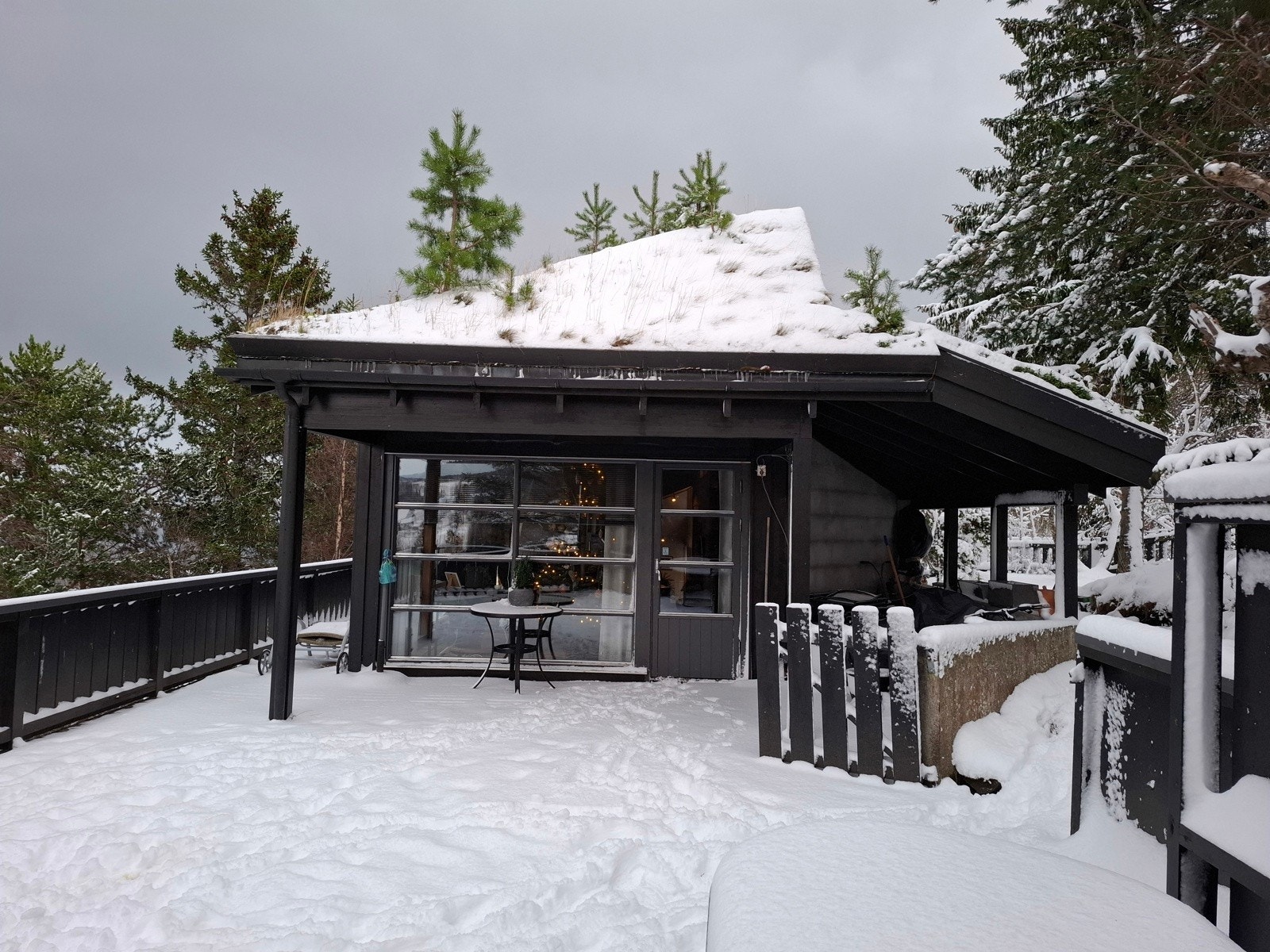 Selgers eget bilde Galleribilde