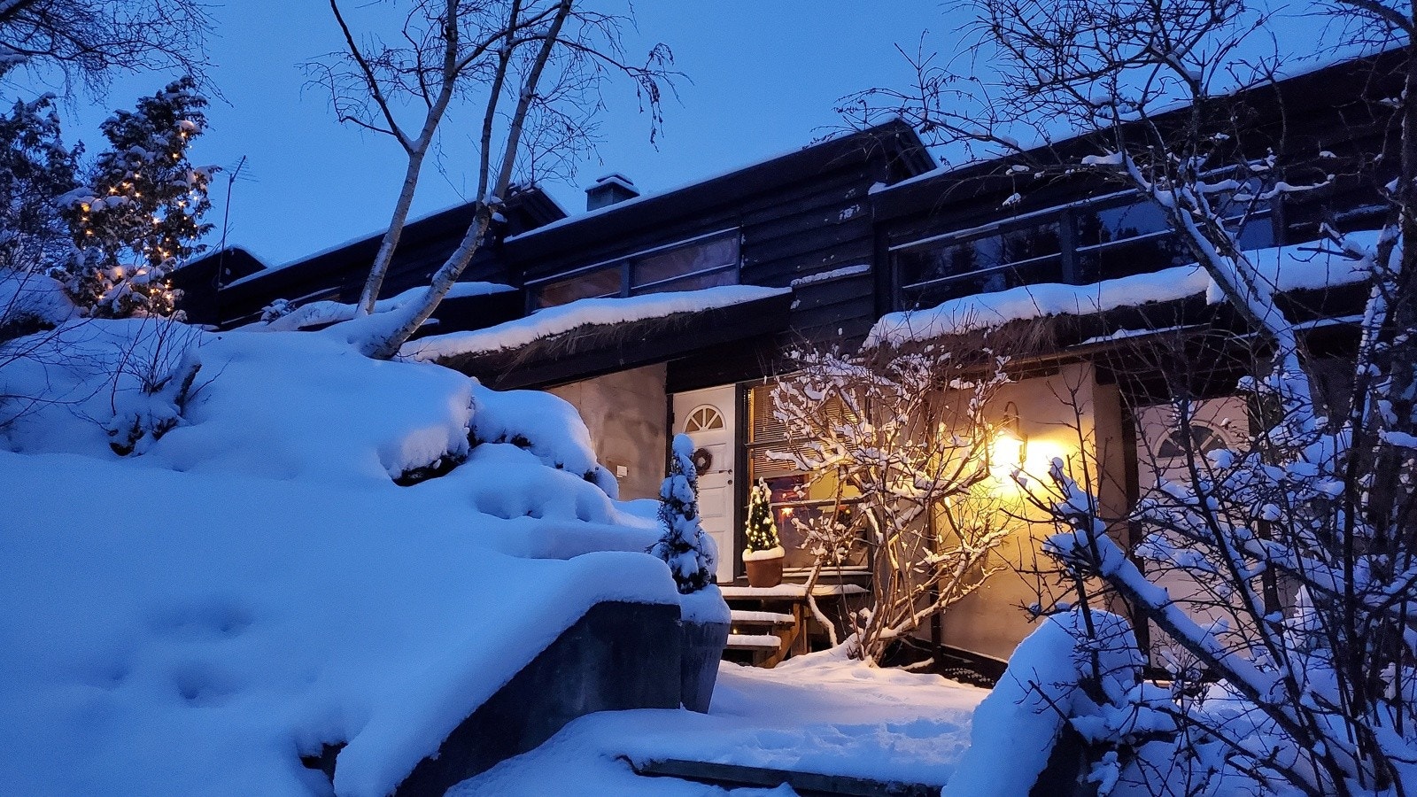 Selgers eget bilde Galleribilde