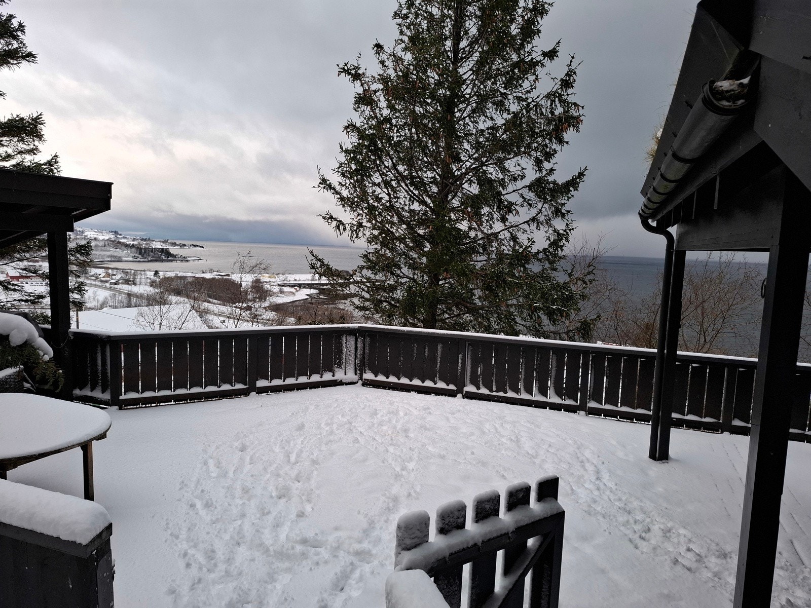 Selgers eget bilde Galleribilde