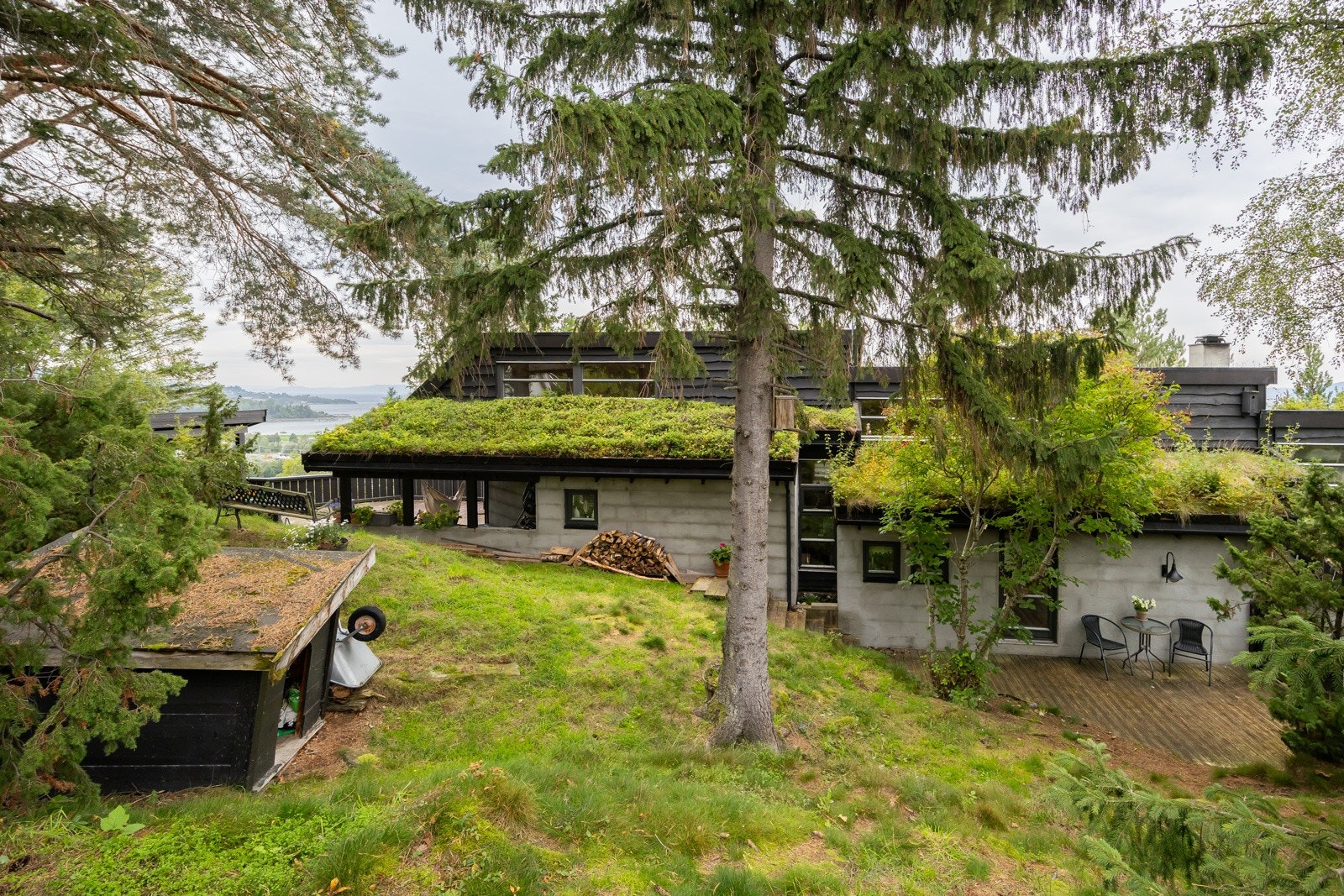 Stor og usjenert tomt på 1 347m². Galleribilde