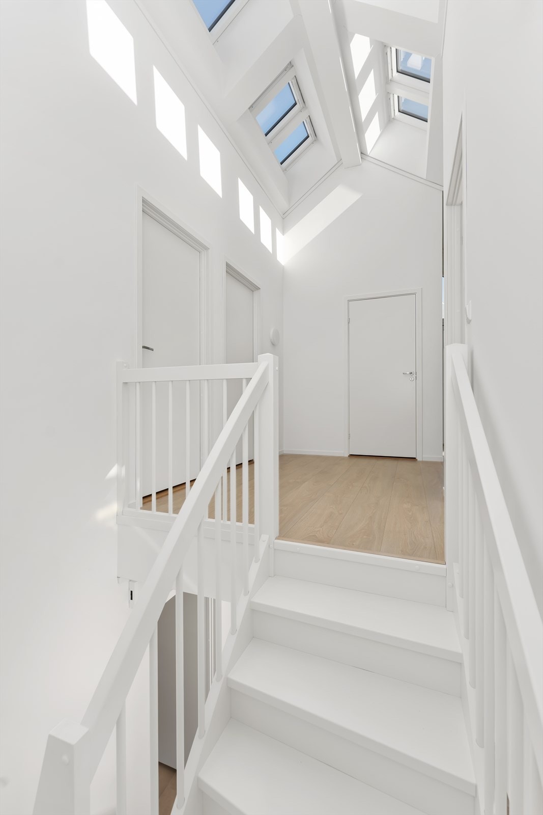 Lekkert lys med de flotte takvinduene Galleribilde