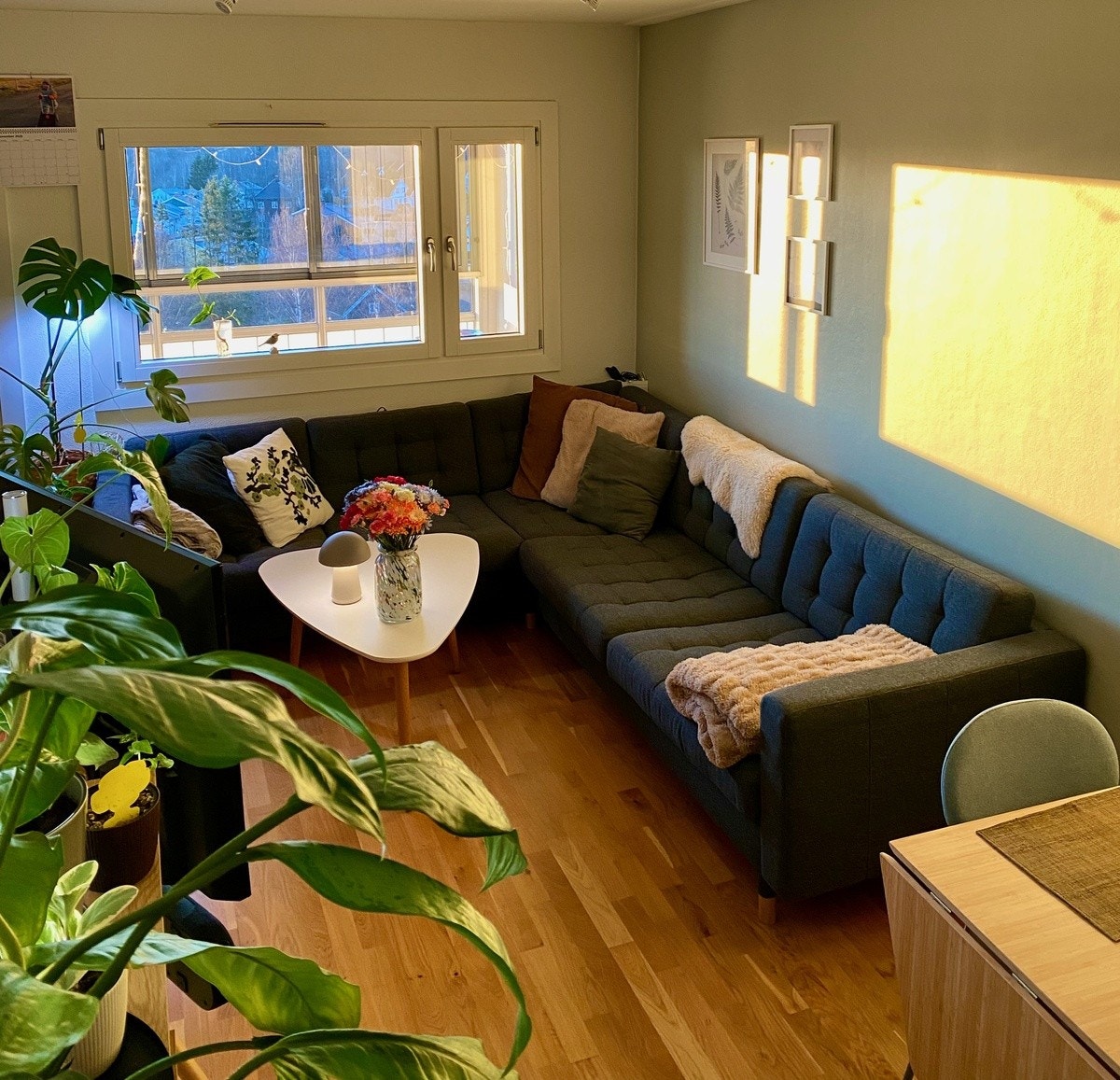 Flotte lysforhold Galleribilde