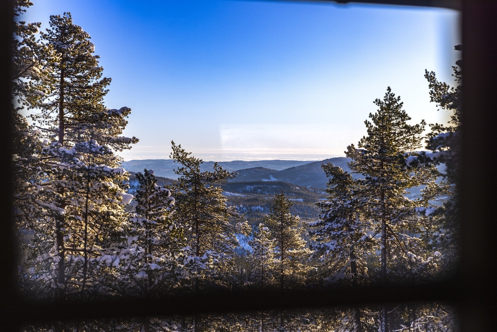 Hyggelig utsikt fra stua utover dalen mot øst Galleribilde