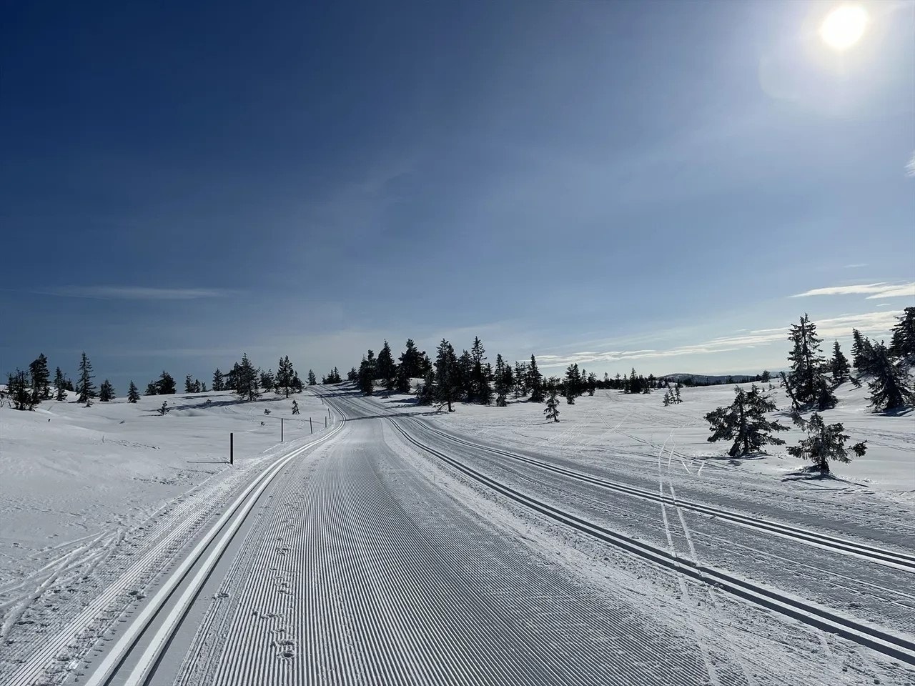 Trikkeskinner mellom Liatoppen og Solobua Galleribilde