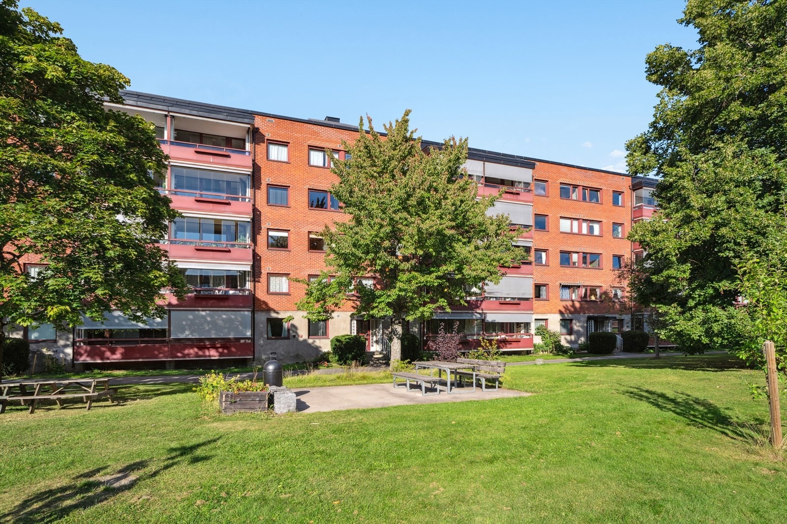 Haugerud borettslag i sin sommerprakt. Galleribilde