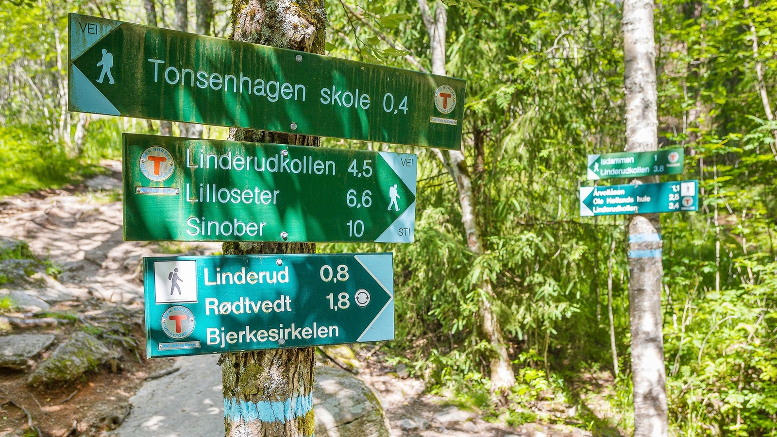 Kort vei til marka med utallige turmuligheter sommer som vinter. Galleribilde