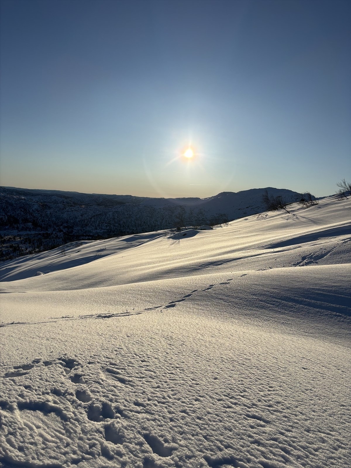 Selgers private bilde. Galleribilde