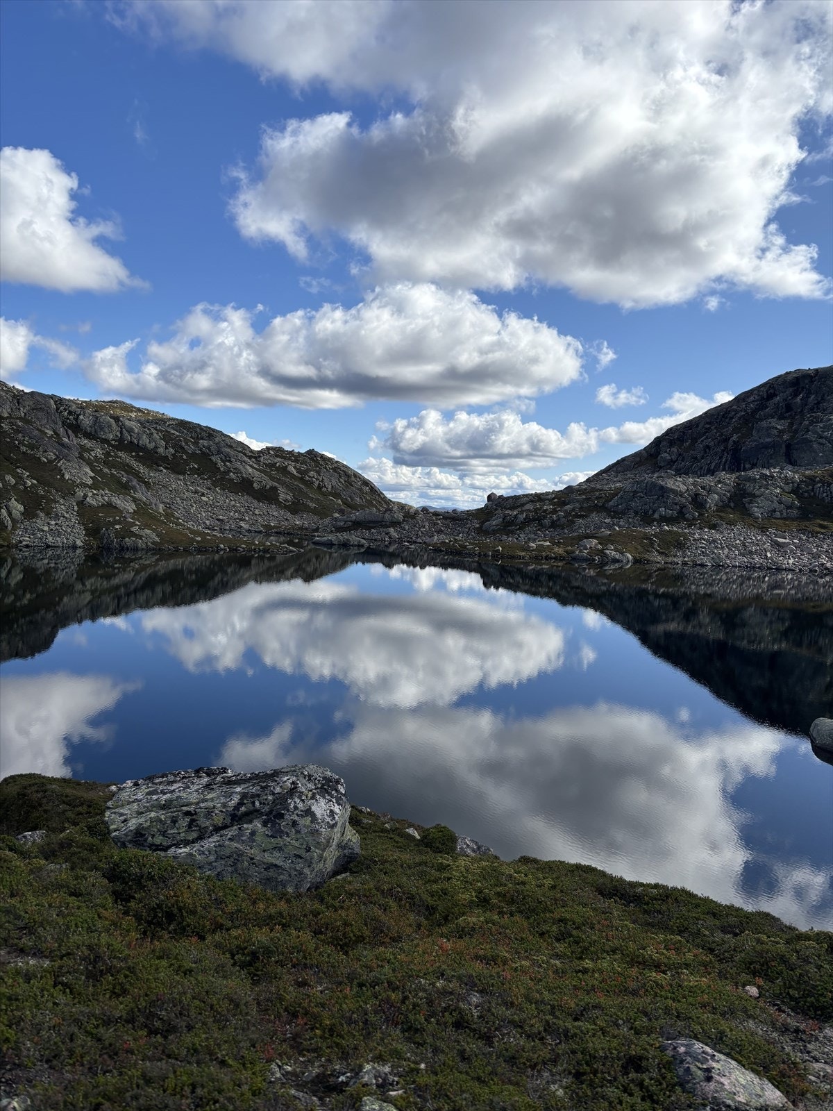 Selgers private bilde. Galleribilde