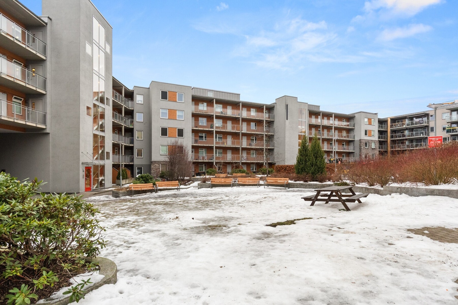 Idyllisk og skjermet bakgård. Galleribilde