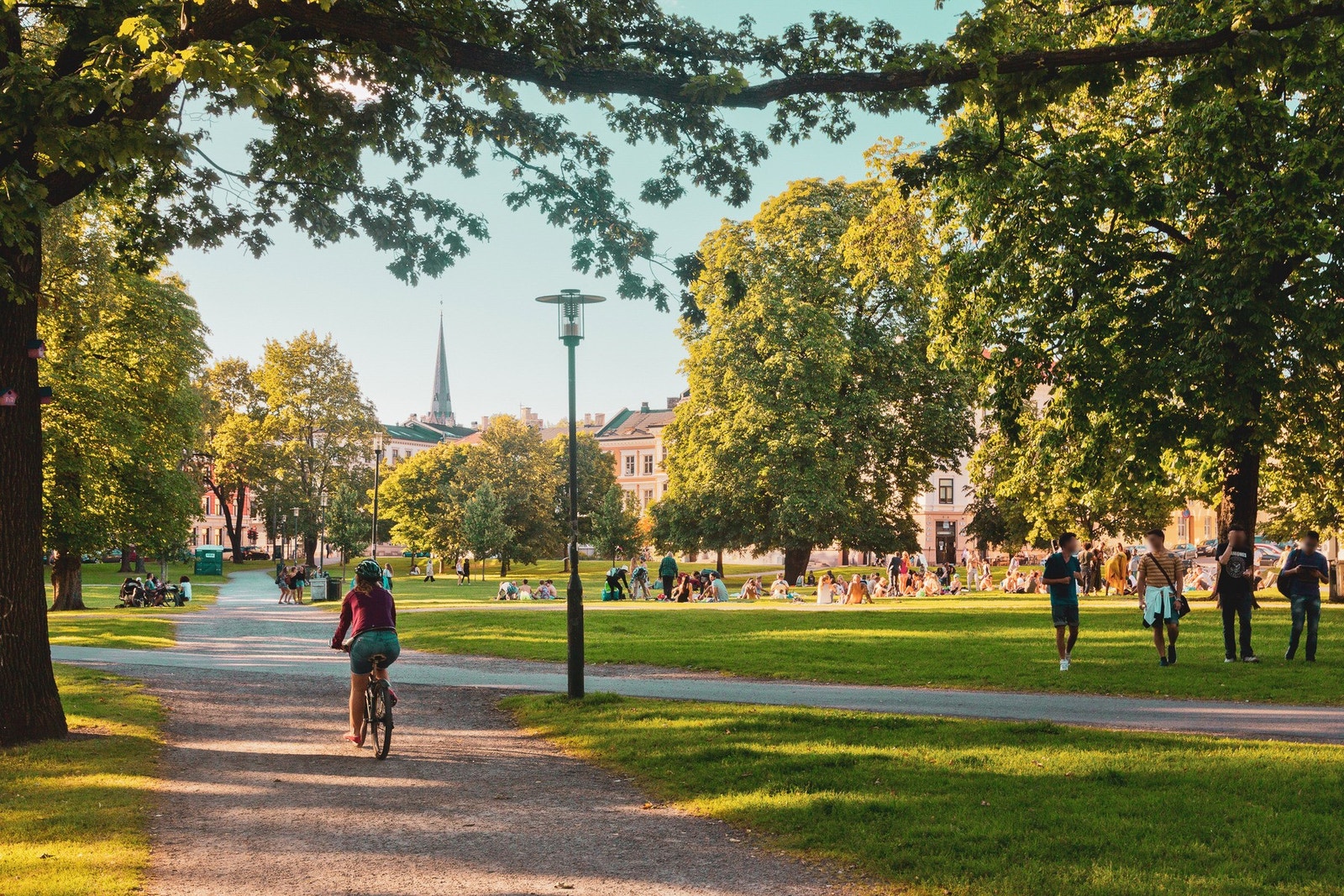 Sofienbergparken. Galleribilde