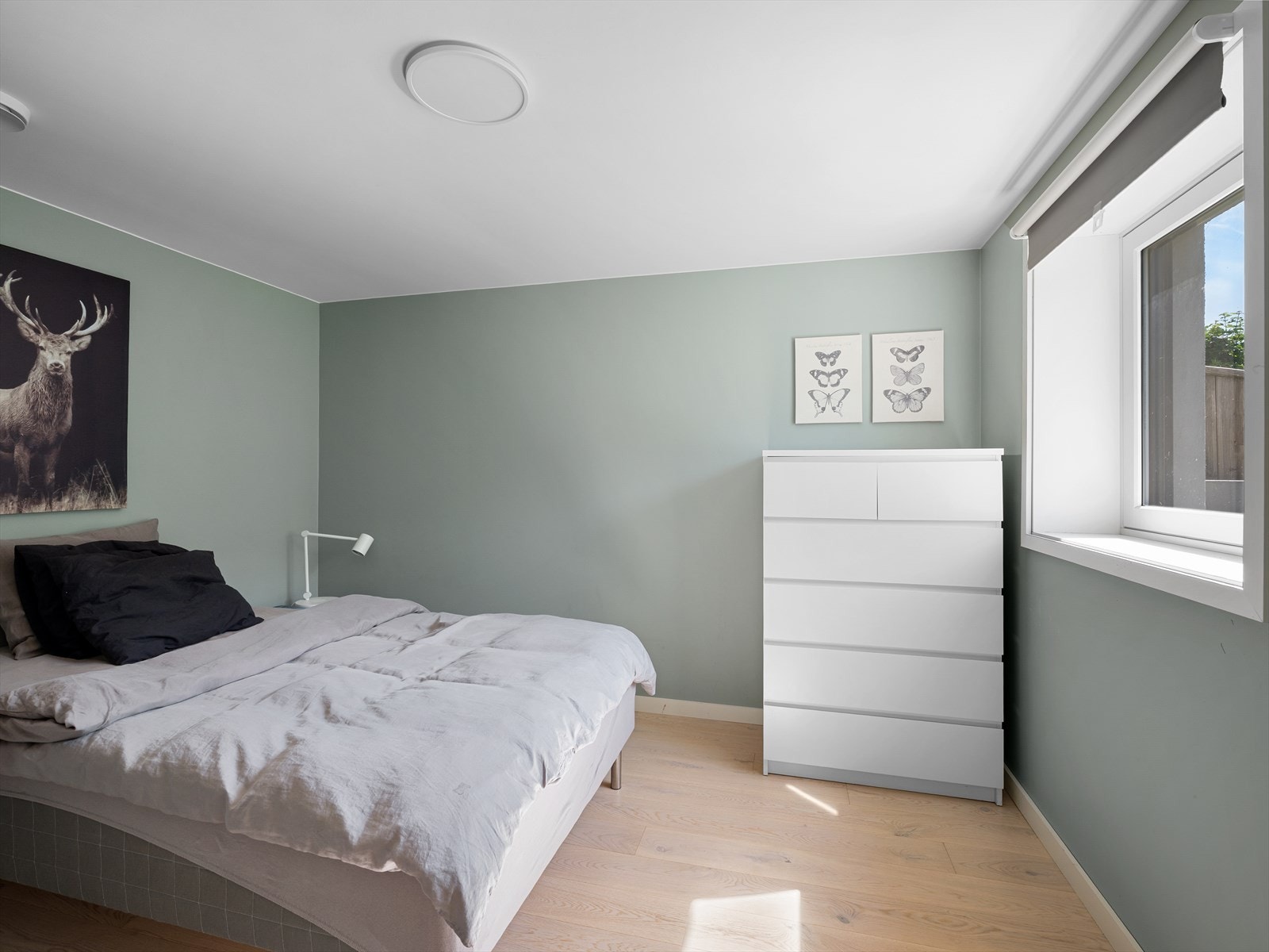 Soverom hybel Galleribilde