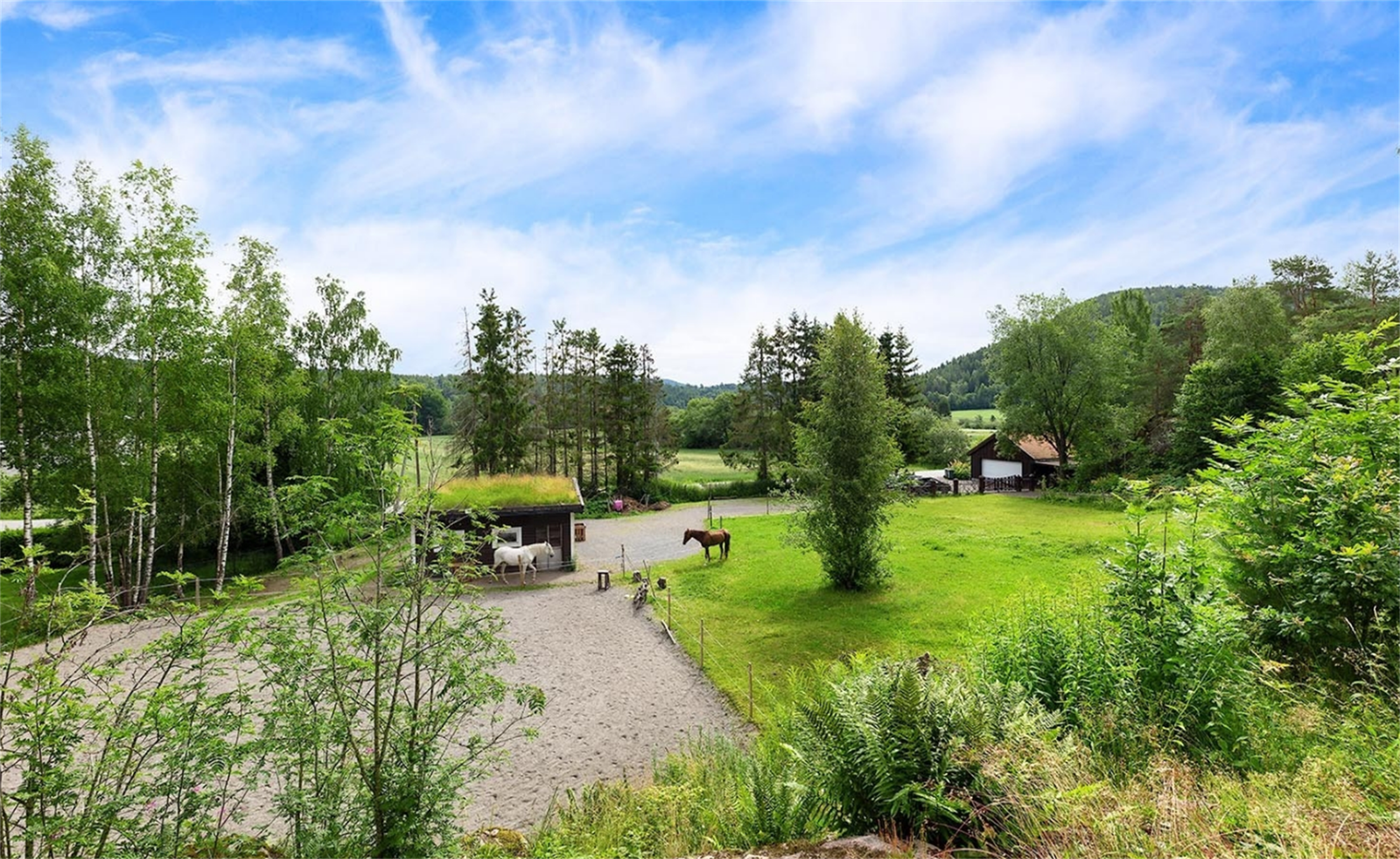 Tidligere sommerbilde - Tidligere eier hadde hester - Gjerdet er nå tatt ned Galleribilde