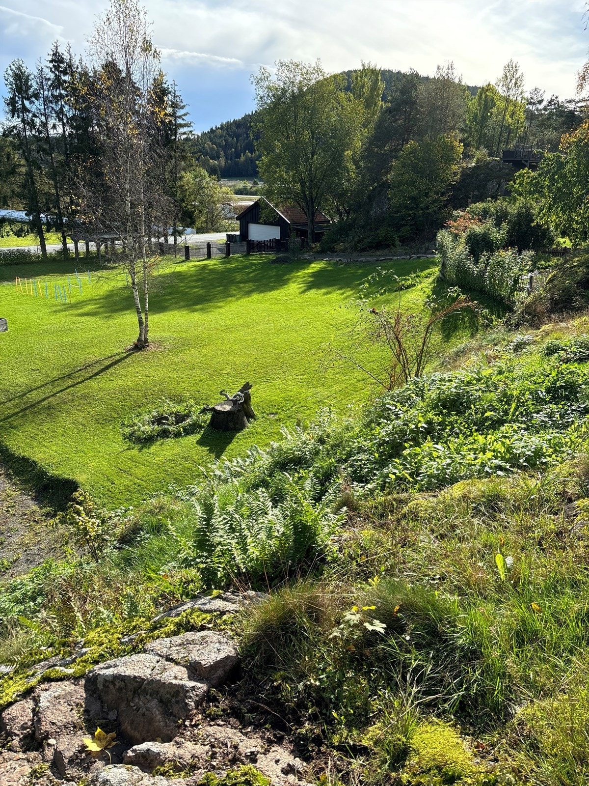 Selger sommerbilde av grøntareal ved stallen Galleribilde