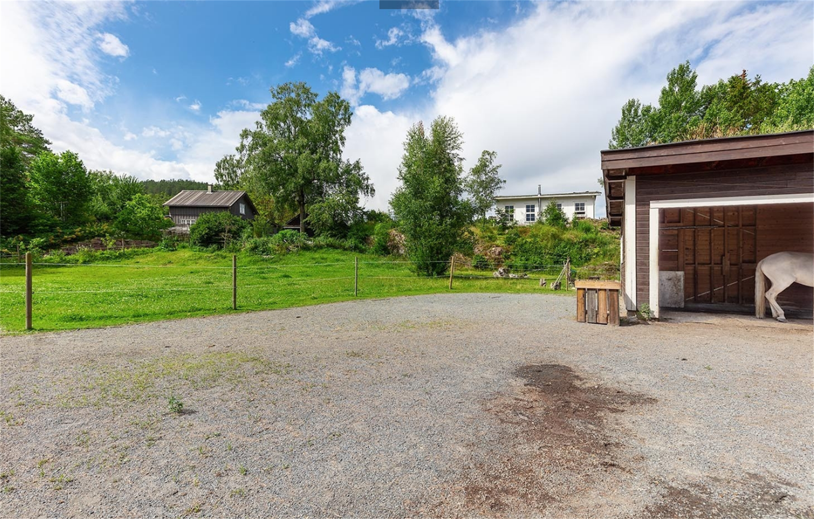 Tidligere sommerbilde - Tidligere eier hadde hester - Gjerdet er nå tatt ned Galleribilde