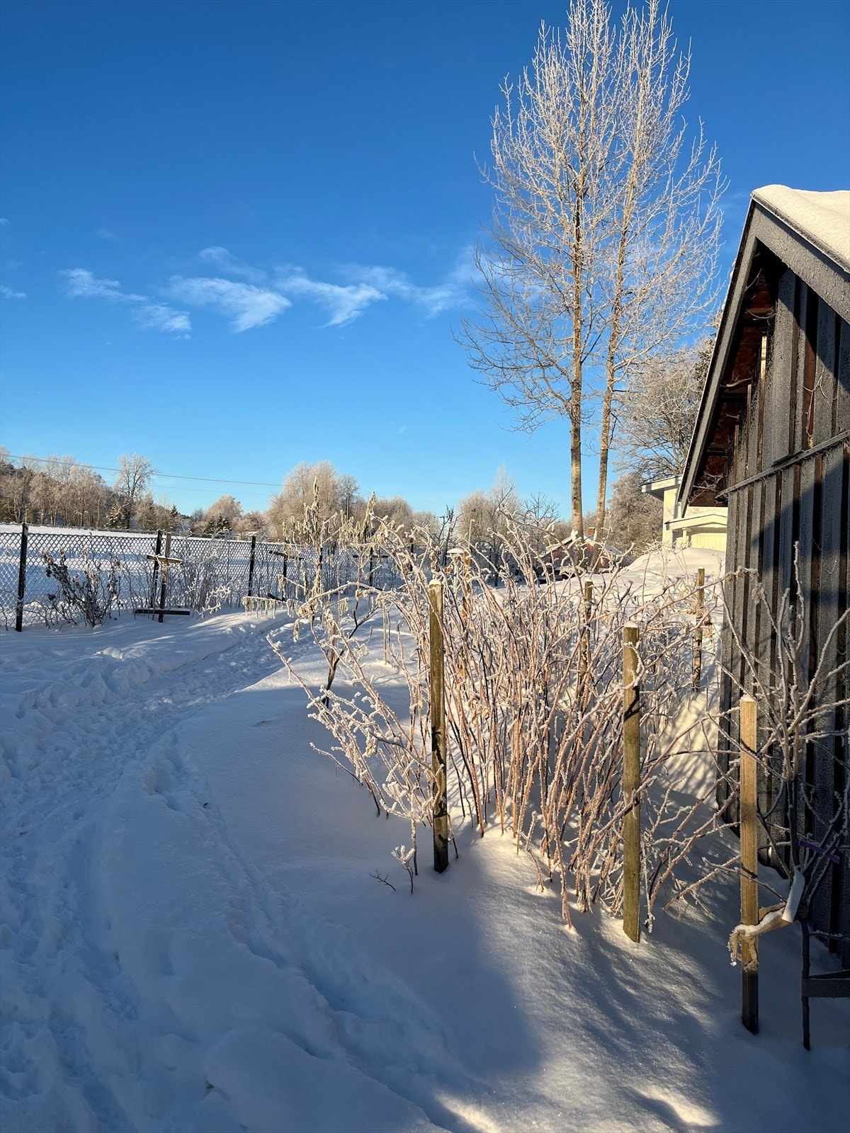 Stien forbi uthuset opp mot atelier Galleribilde