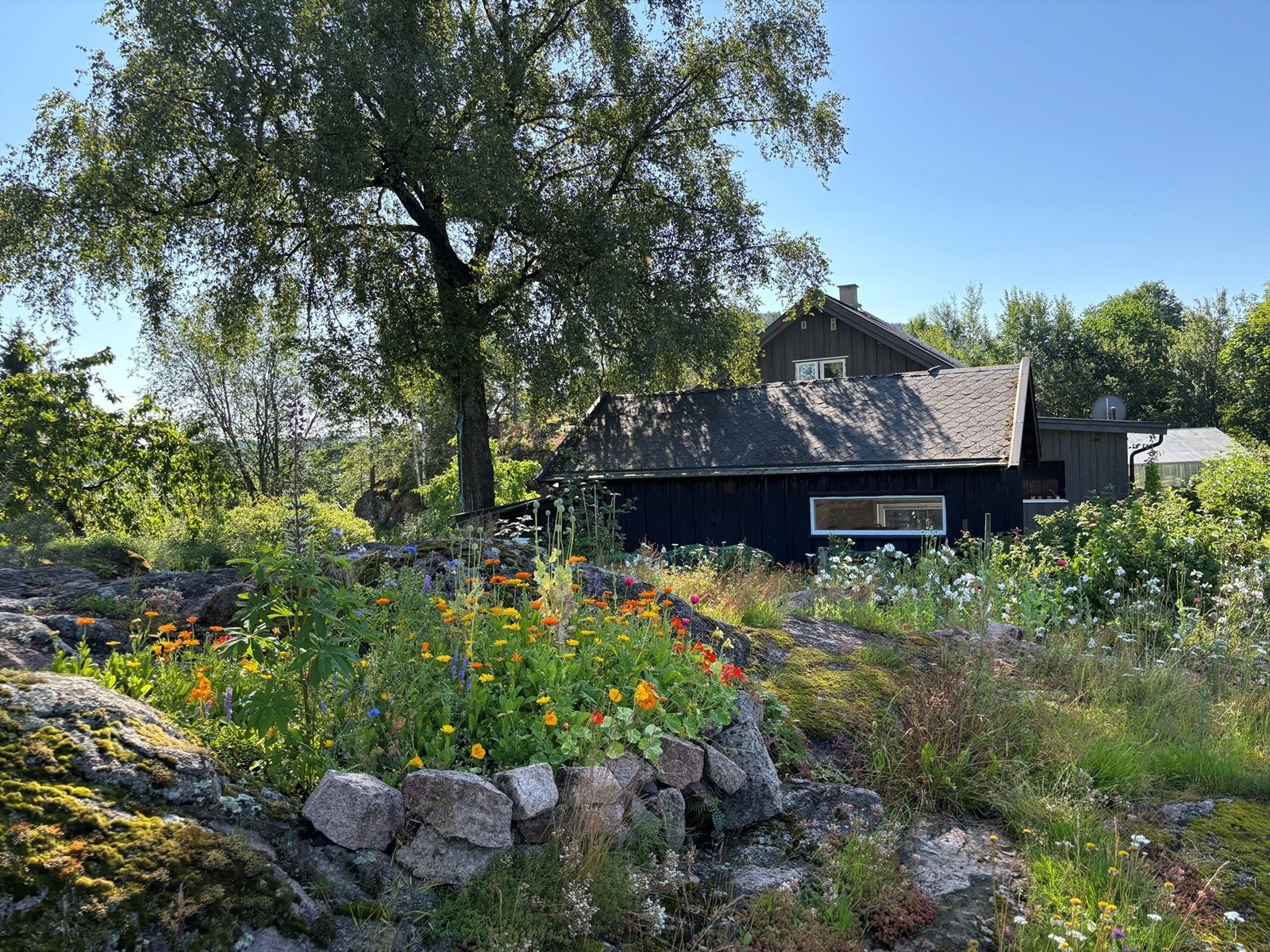 Om sommeren bugner det med blomster og flotte farger! - Selgers sommerbilde Galleribilde