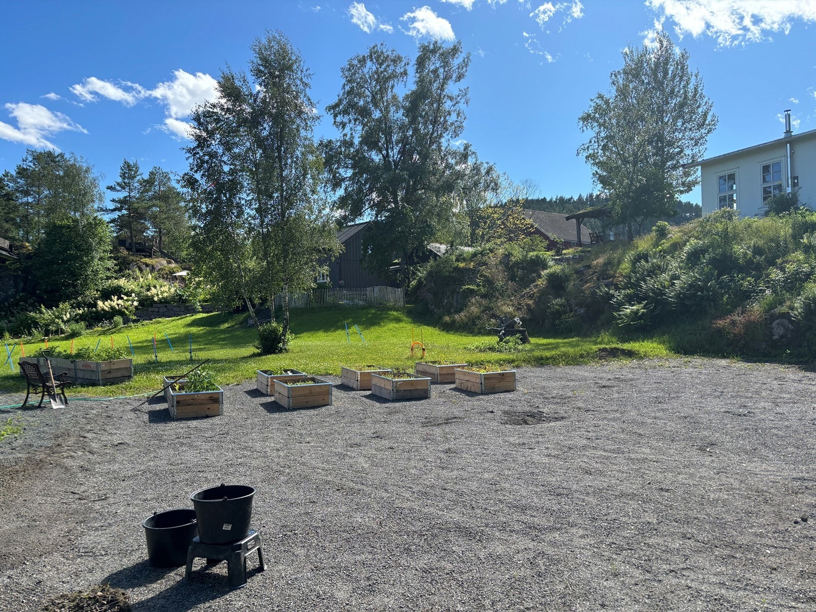 Flere blomster/grønnsakskasser - Selgers sommerbilde Galleribilde