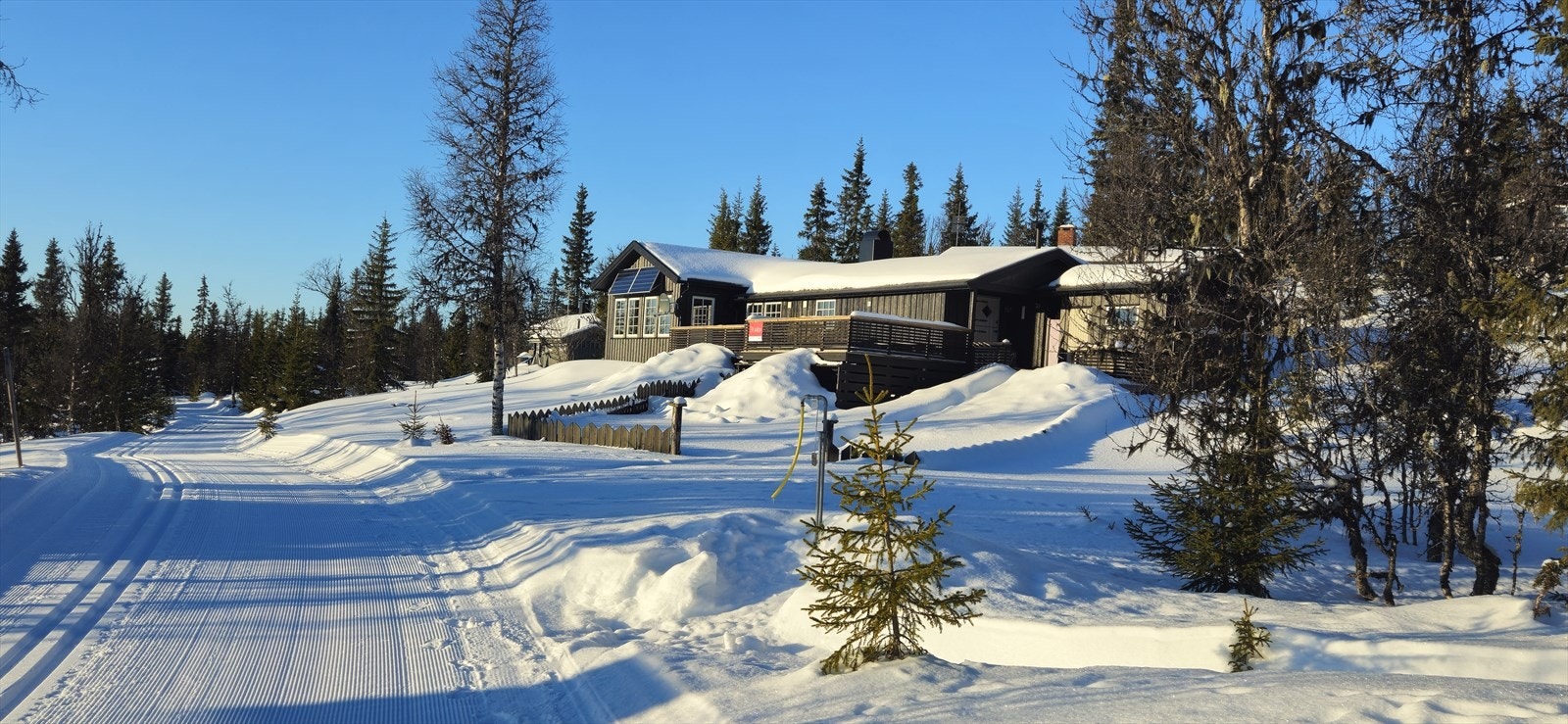 Velkommen til Skvaldra 30! Galleribilde