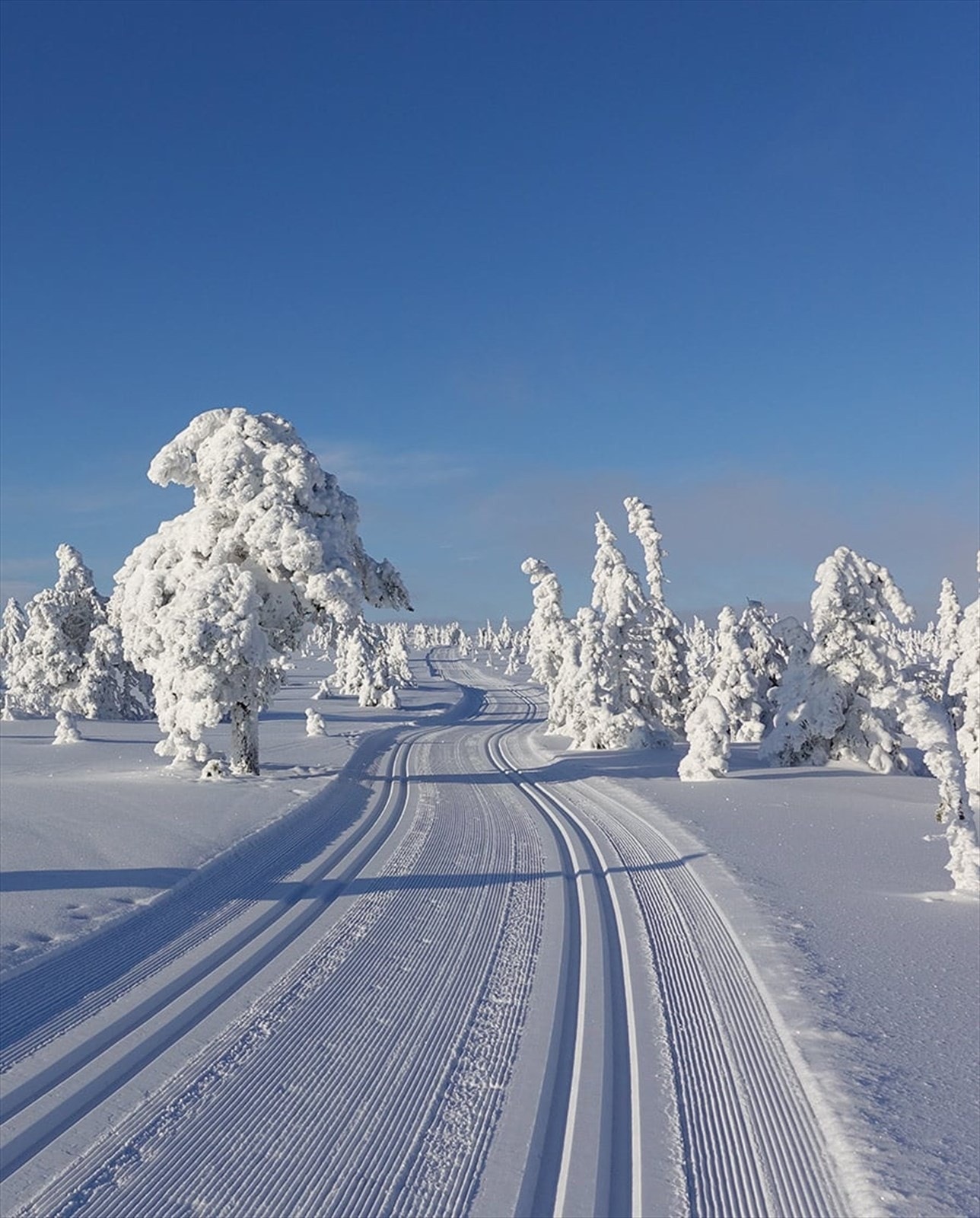 Fantastiske turmuligheter i området Galleribilde