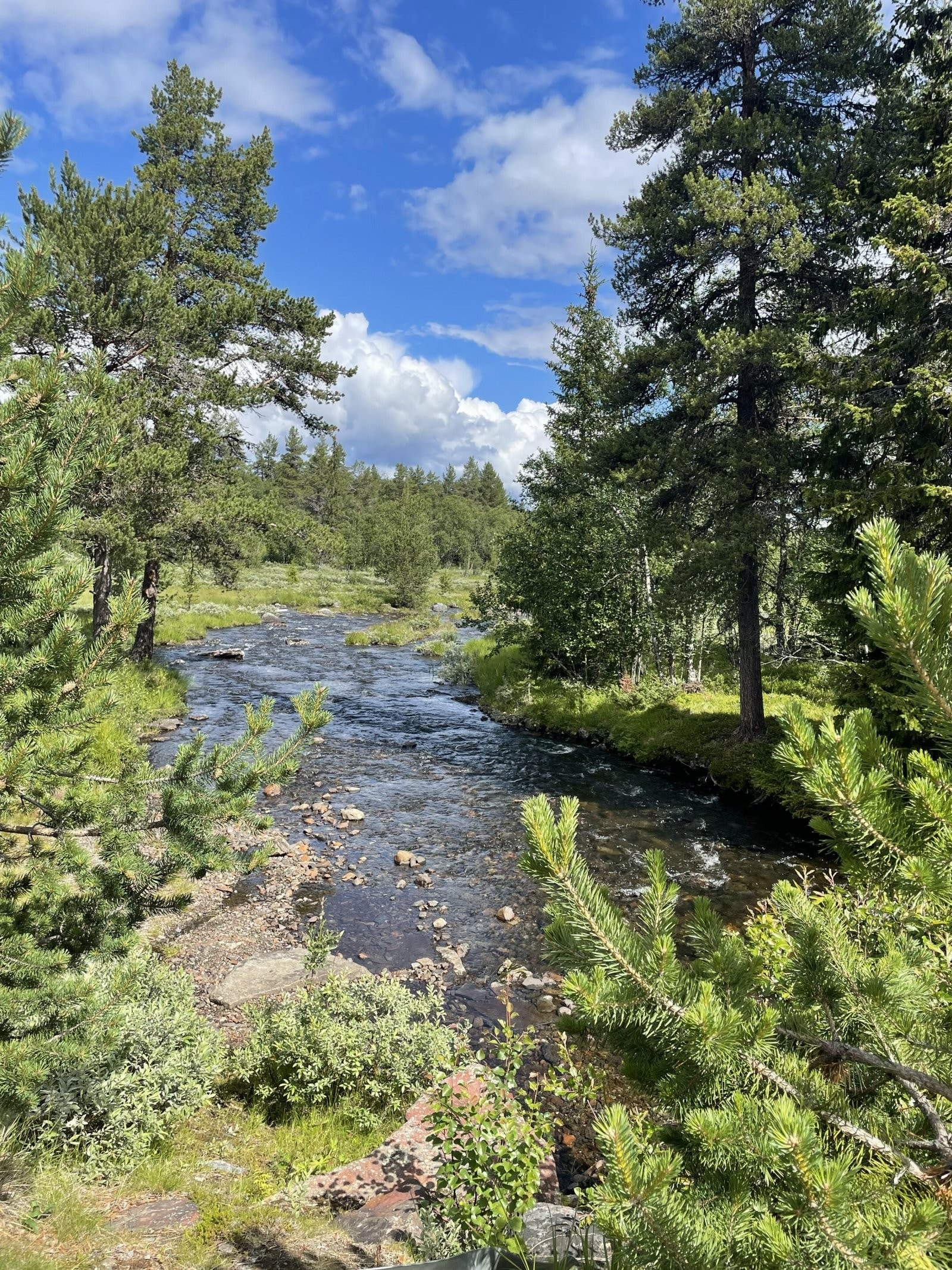 Området har en rekke flotte vann og elver som er perfekte turmål. Galleribilde