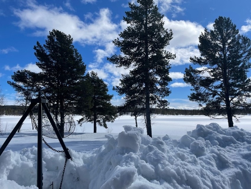 Vinterstemning. Galleribilde