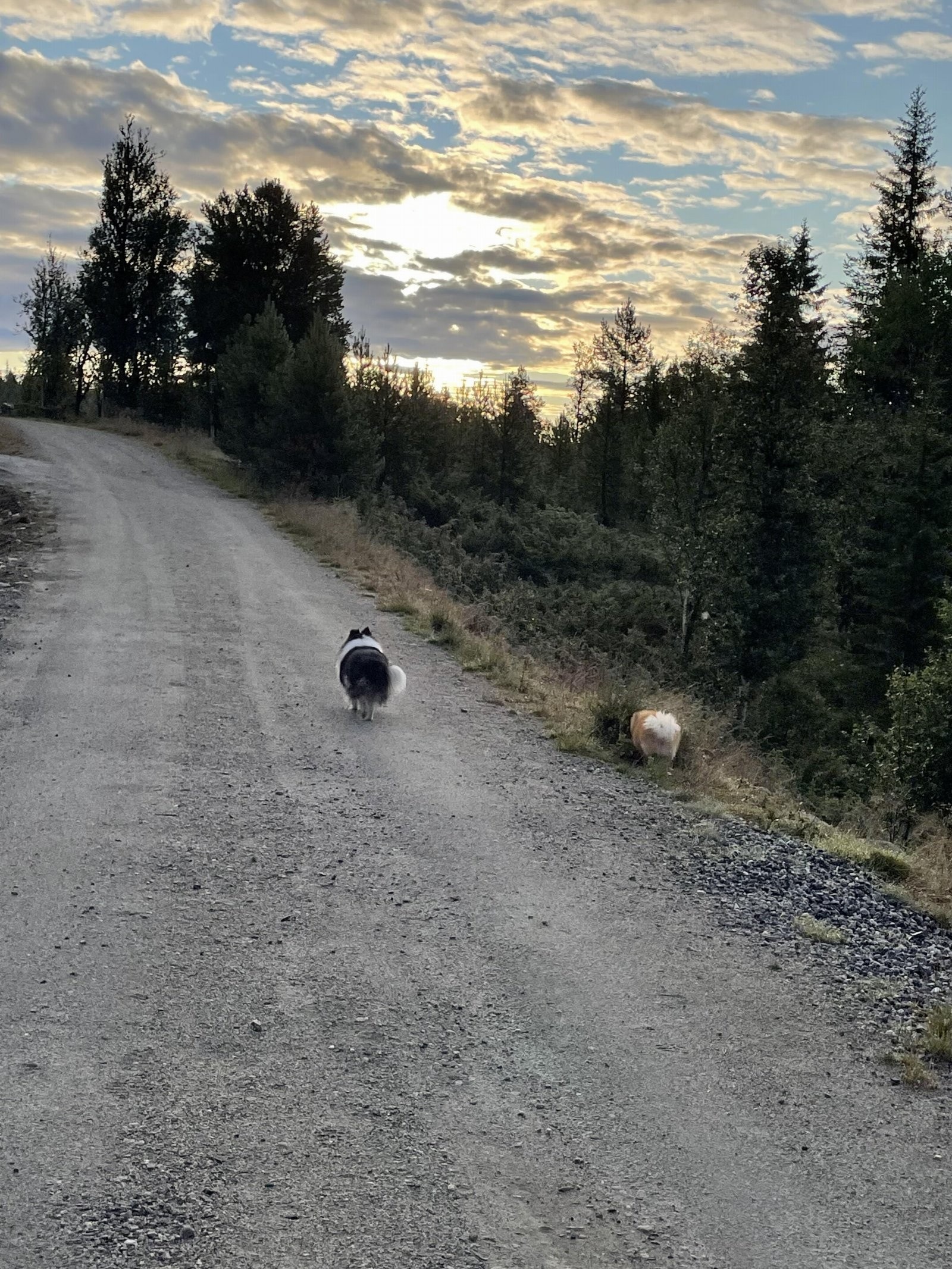 Det er uante muligheter for turer til fots og med sykkel om sommeren. Galleribilde