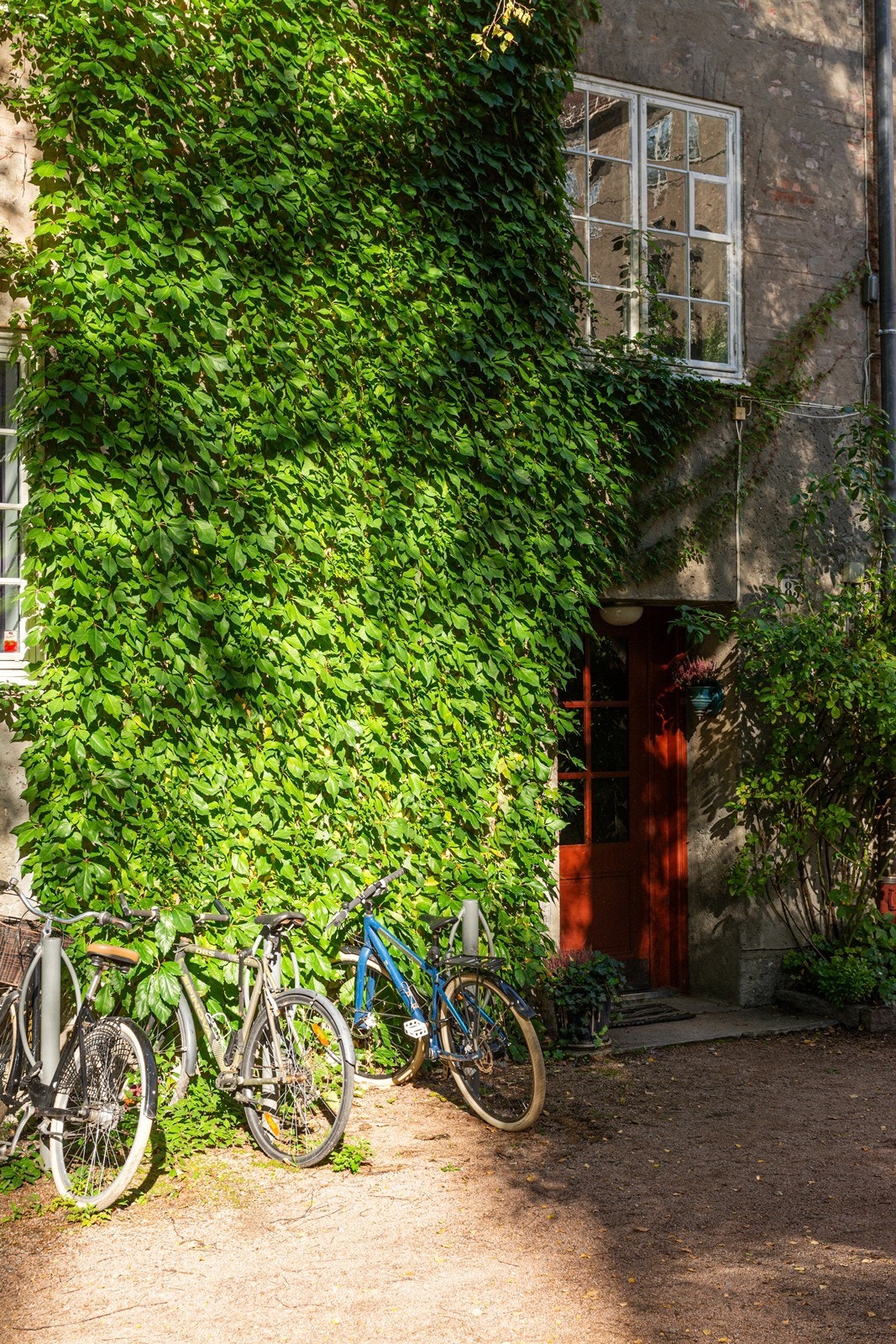 Sameiets særdeles ærverdige og prisbelønnede bakgård inkl. majestetiske trær og flott hageanlegg Galleribilde