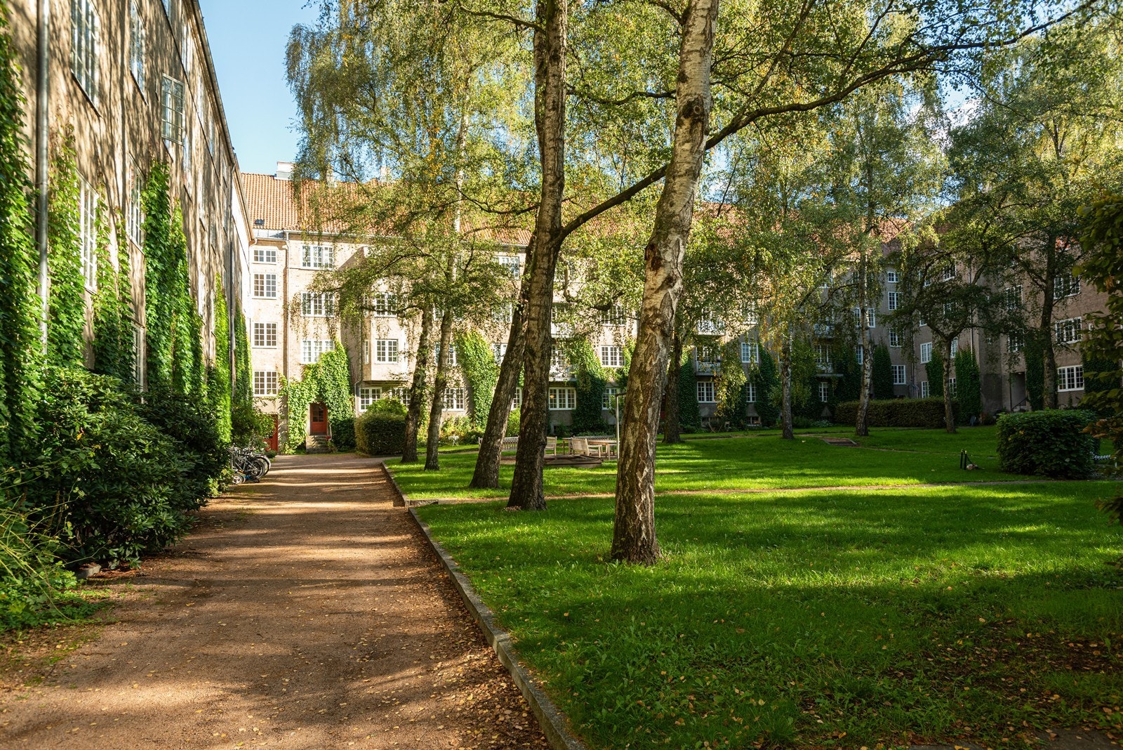 Sameiets særdeles ærverdige og prisbelønnede bakgård inkl. majestetiske trær og flott hageanlegg Galleribilde