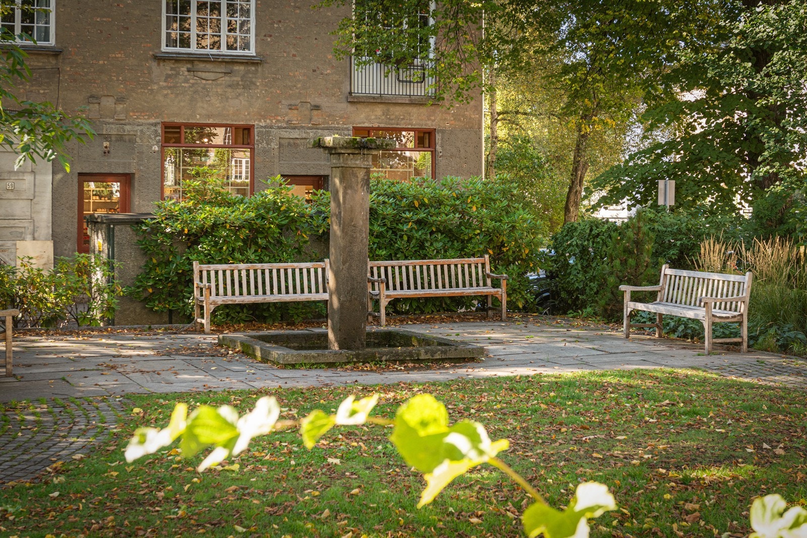 Sameiets særdeles ærverdige og prisbelønnede bakgård inkl. majestetiske trær og flott hageanlegg Galleribilde