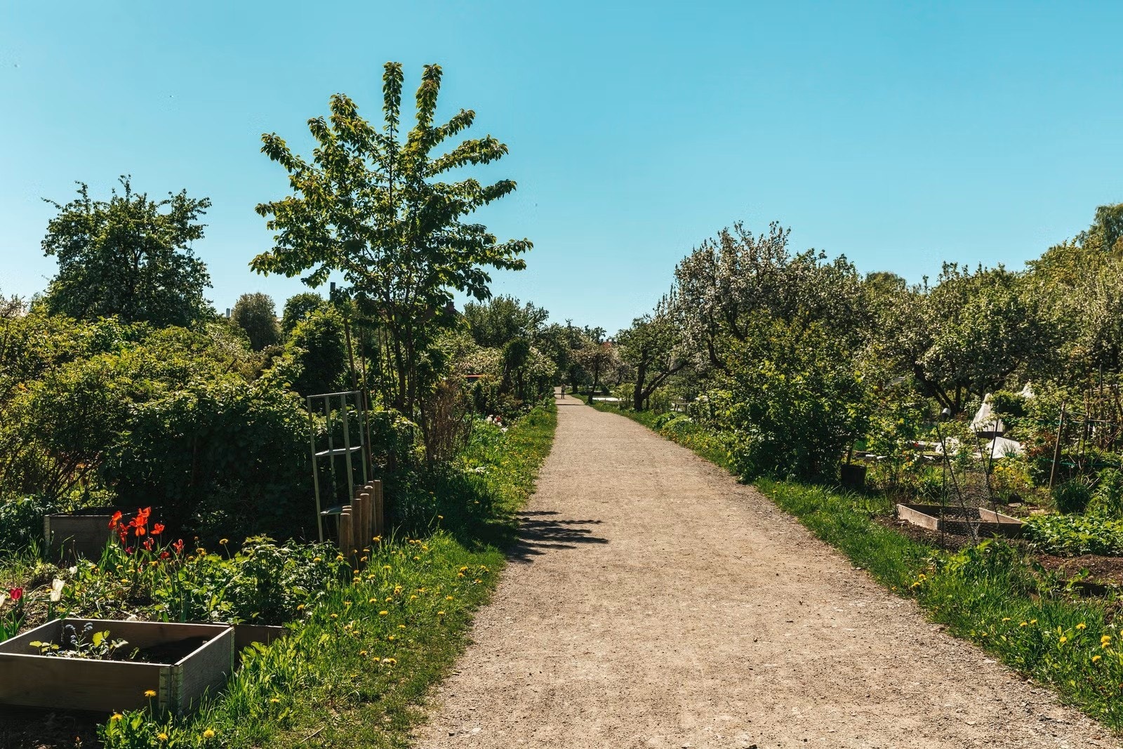 Geitmyra skolehager er også verdt å trekke frem. Disse ligger på andre siden av Uelands Gate, og er absolutt verdt en tur. Galleribilde