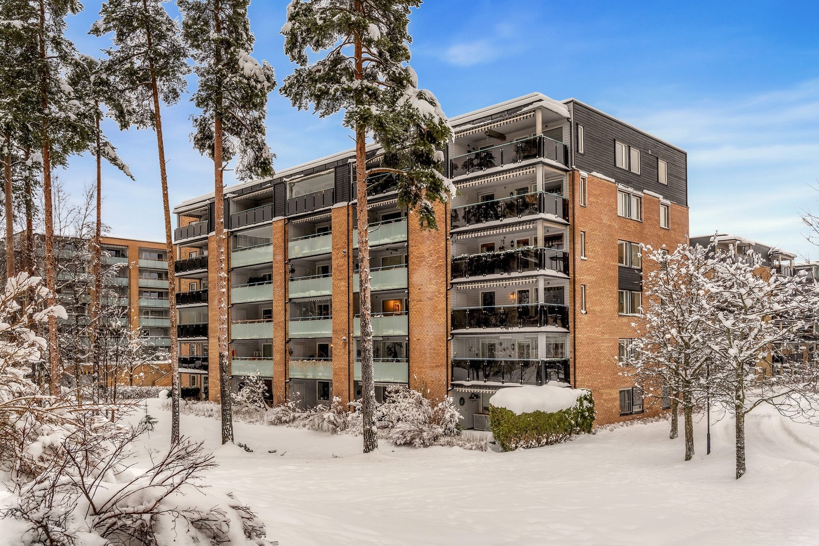 Etablert og hyggelig boligfelt. Galleribilde