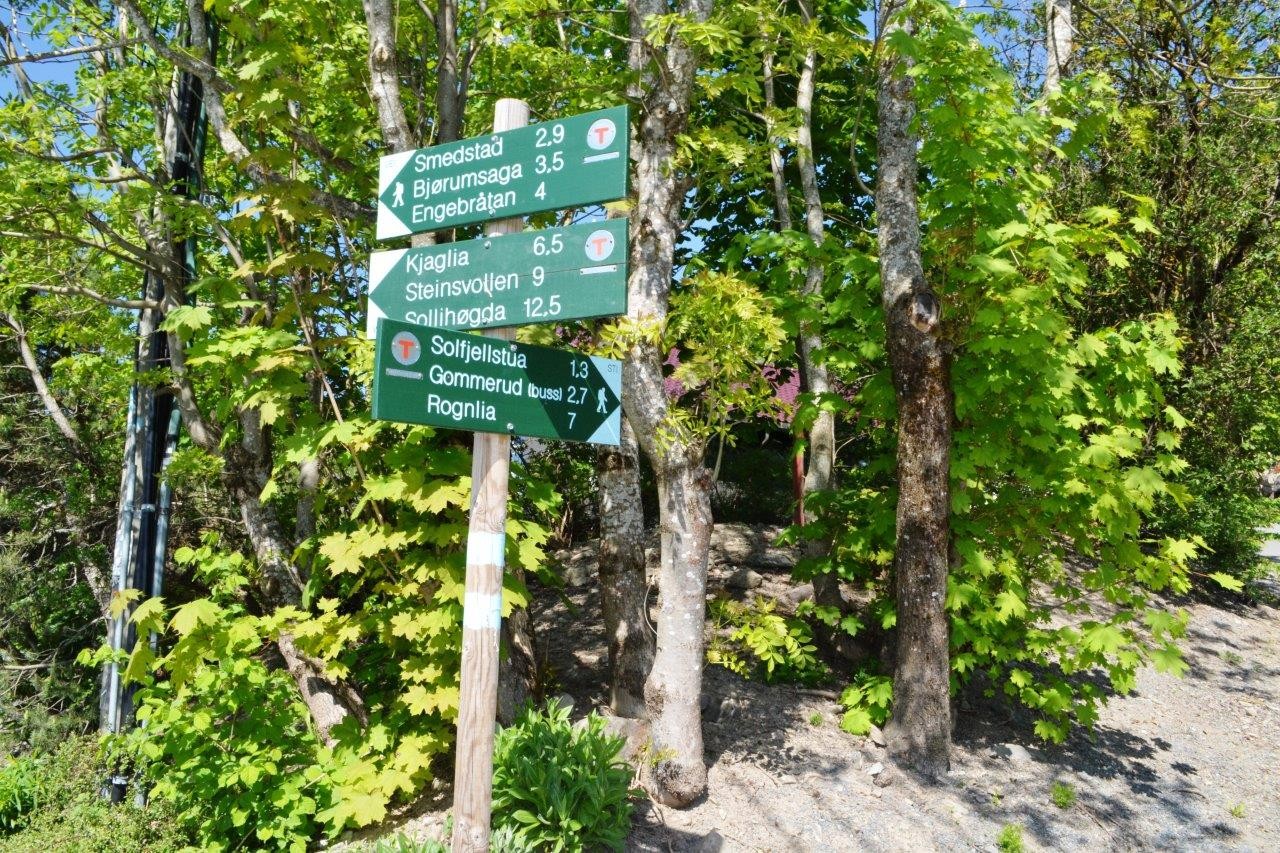 Nærmiljø / Turmuligheter Galleribilde