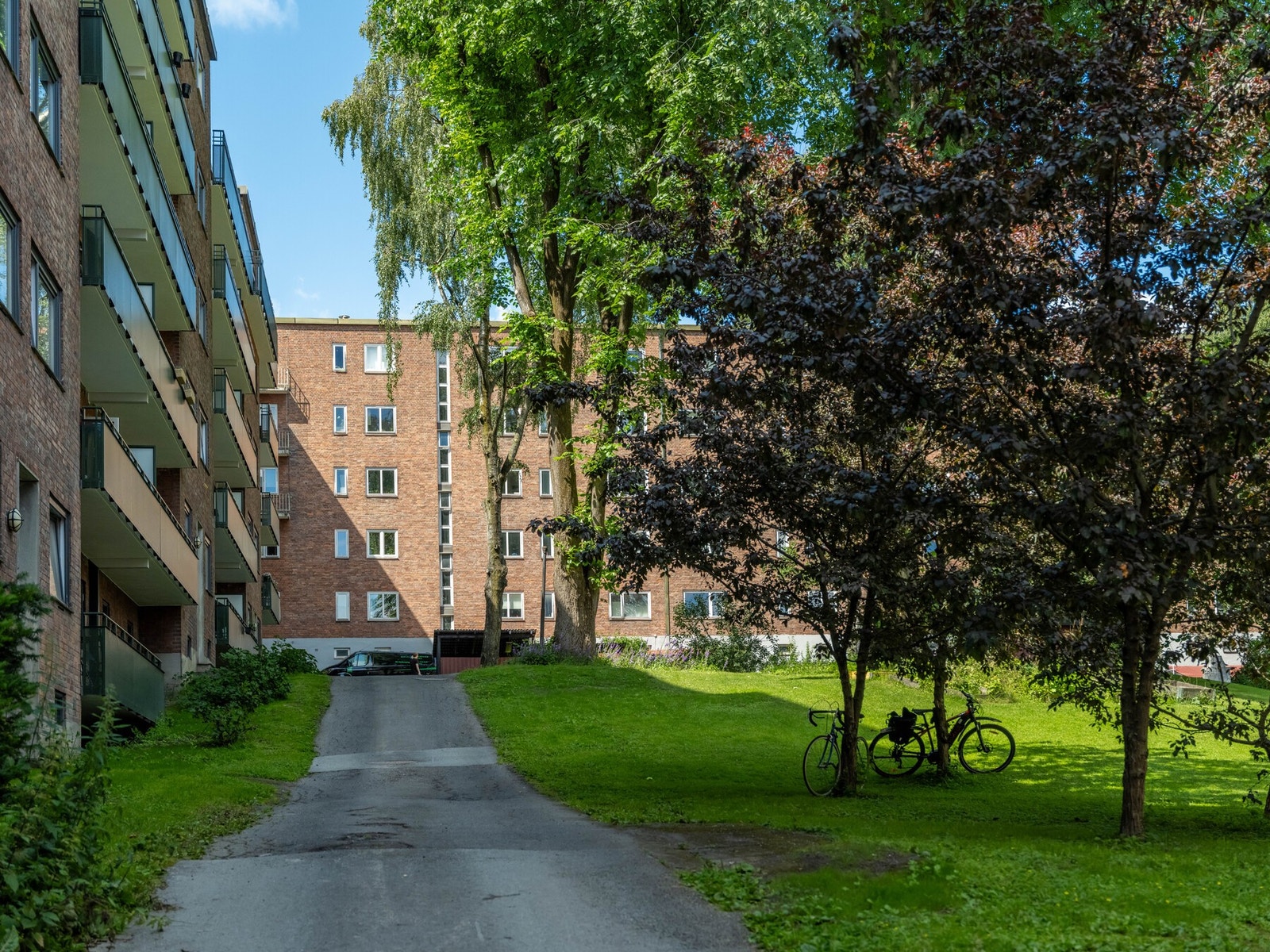 Sameiet fremstår som veldrevet og byr på en fin bakgård. Galleribilde