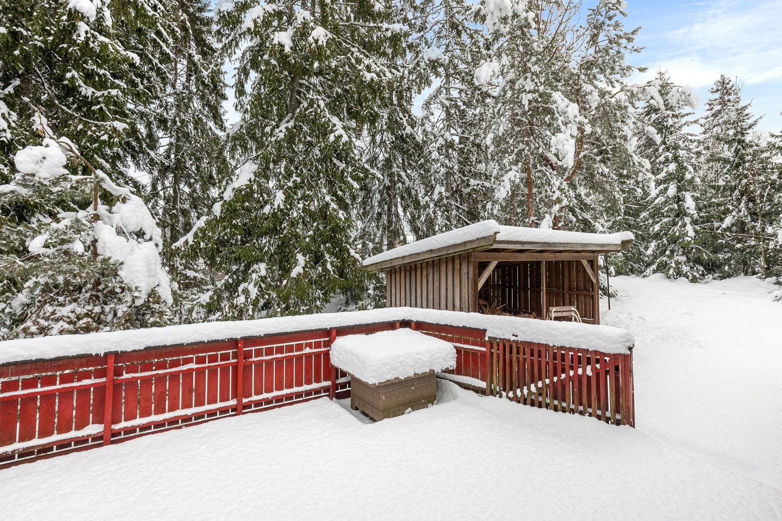 En usjenert uteplass med direkte tilknytning til skogsterrenget. Galleribilde