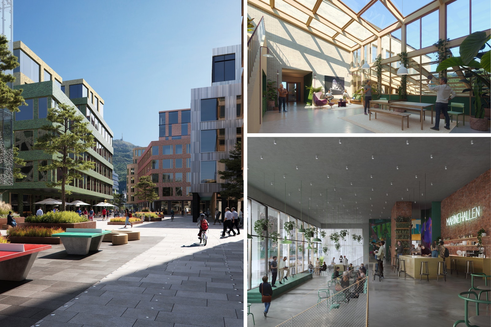 Visualiseringer. Galleribilde